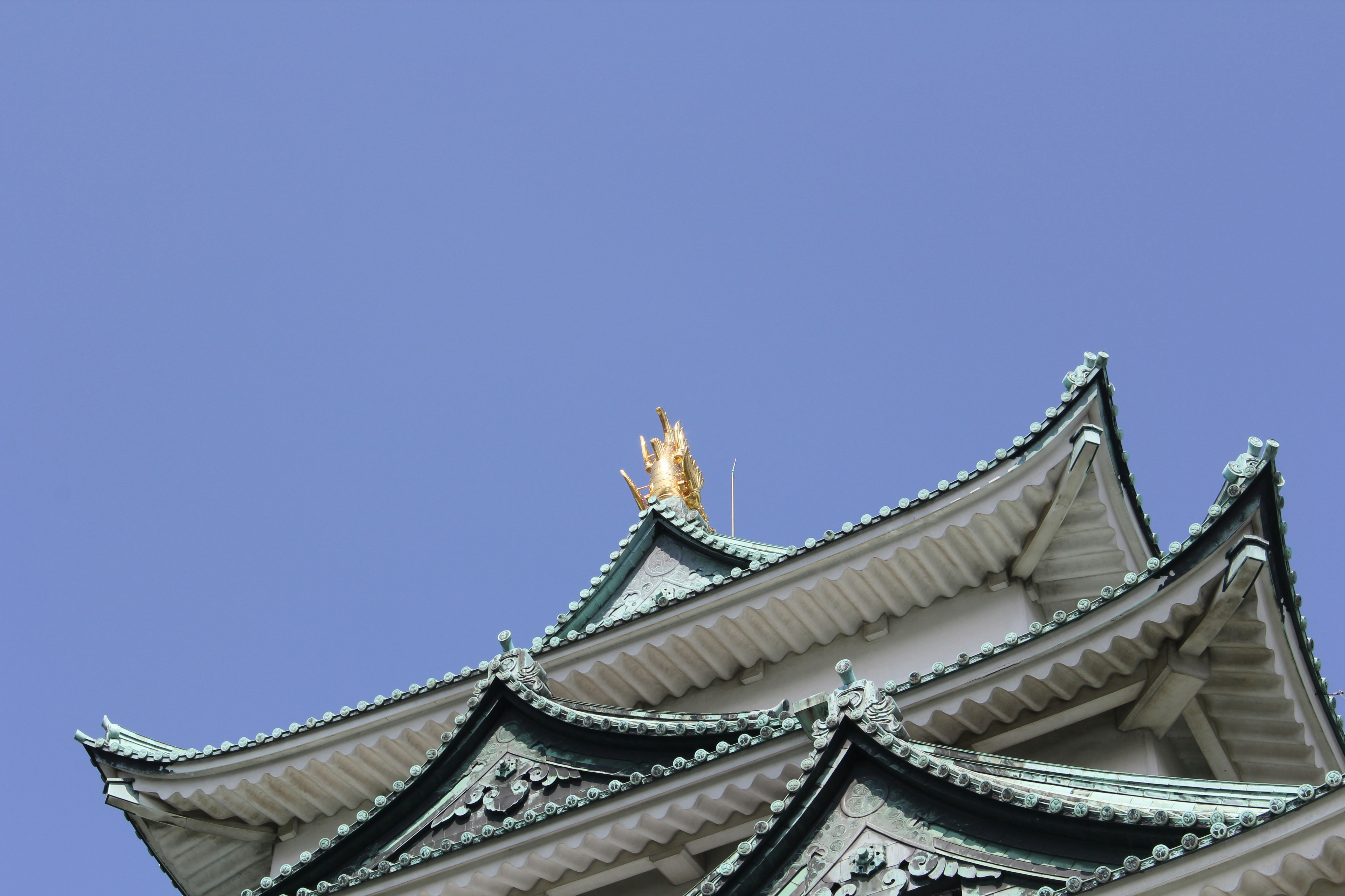 2026-01-ppp-in-nagoya-cover-image