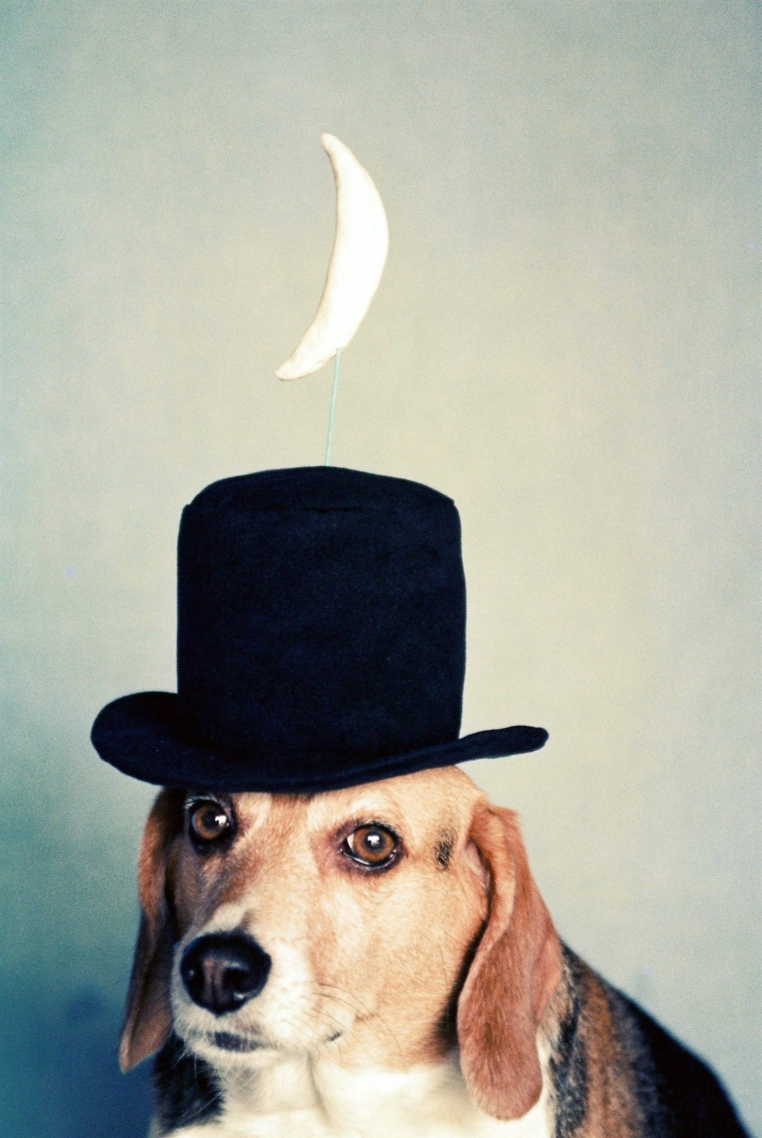 2024-06-conceptual-photography-image-13