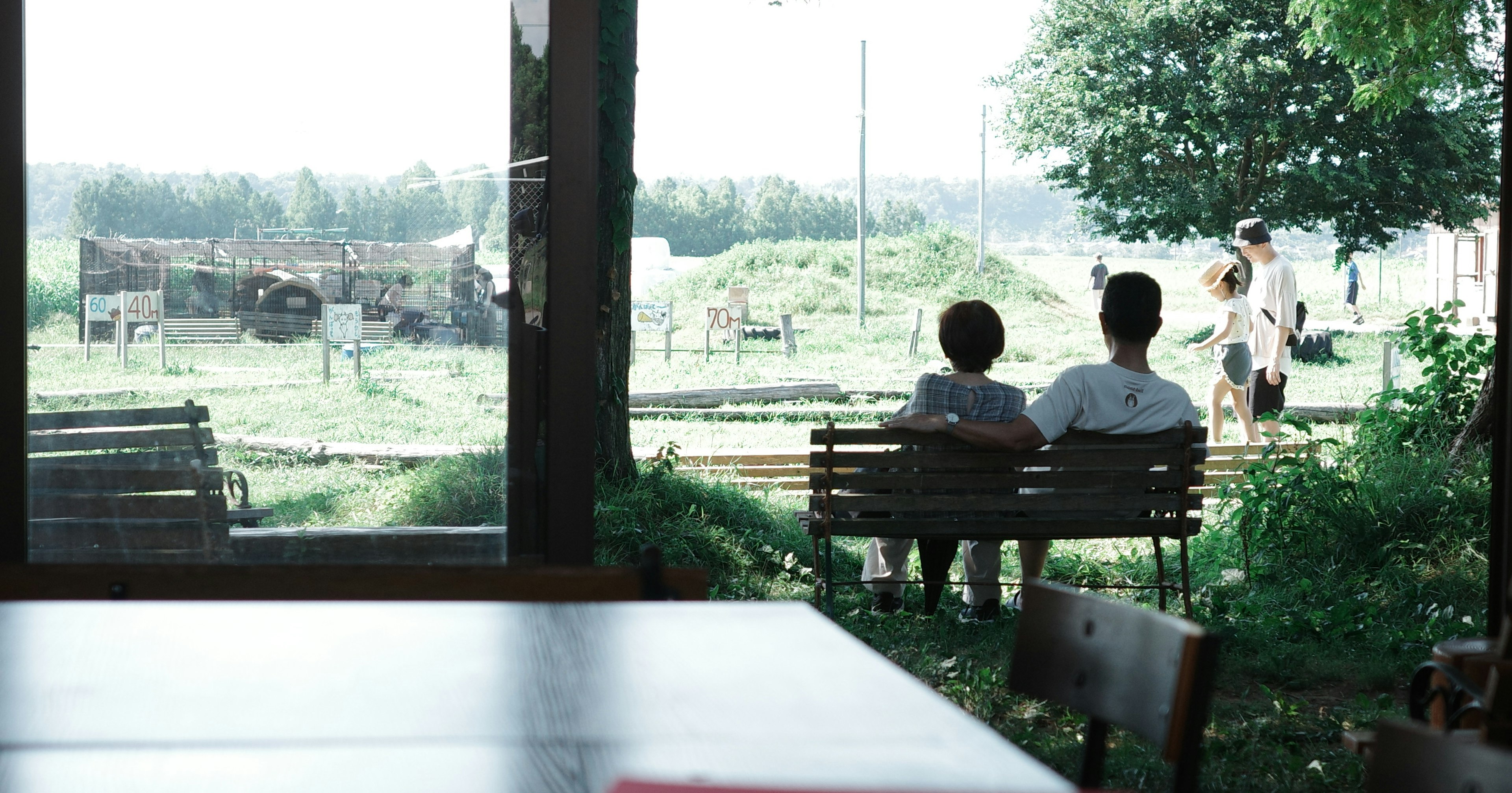 2024-08-peace-report-cover-image