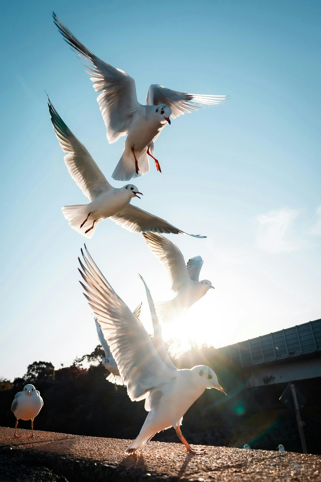 2025-09-animal-voice-in-photography-image-2