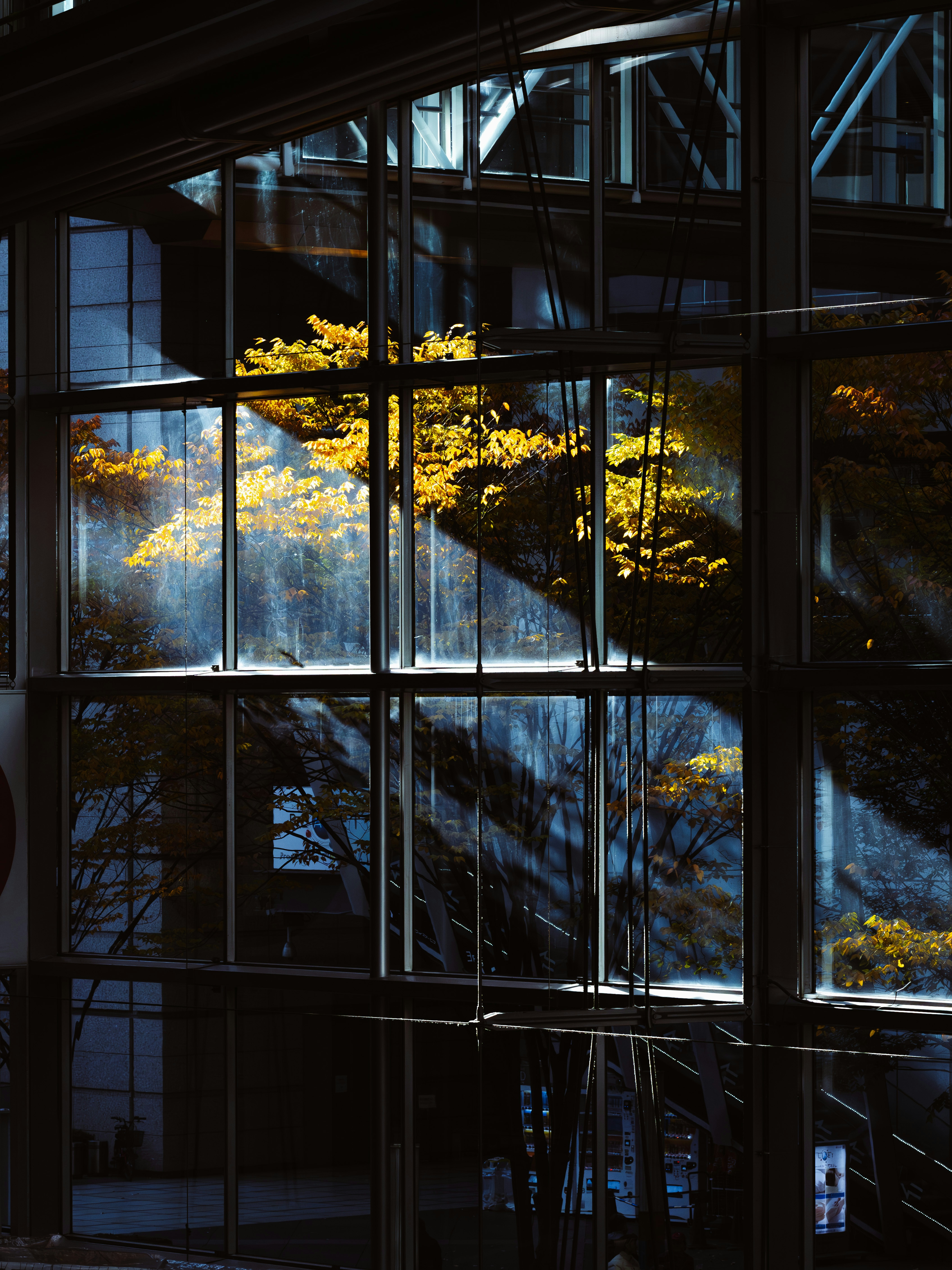 Photo by むめい