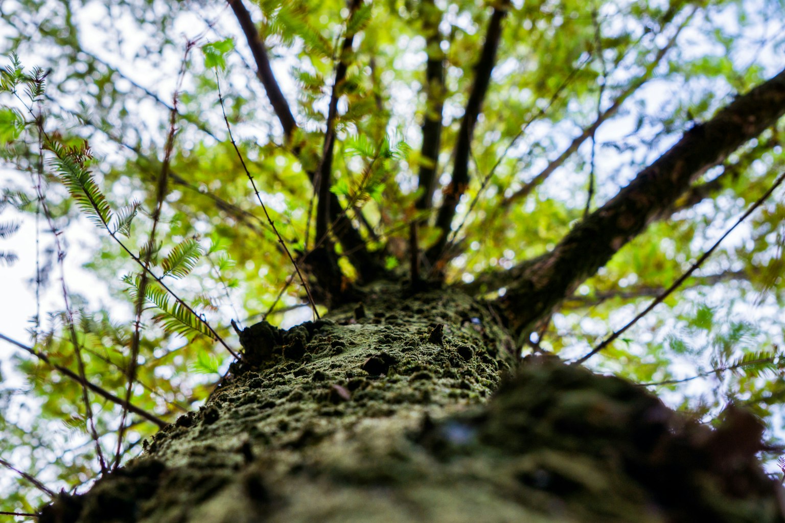 2025-11-gen-z-camera-trends-black-friday-image-10