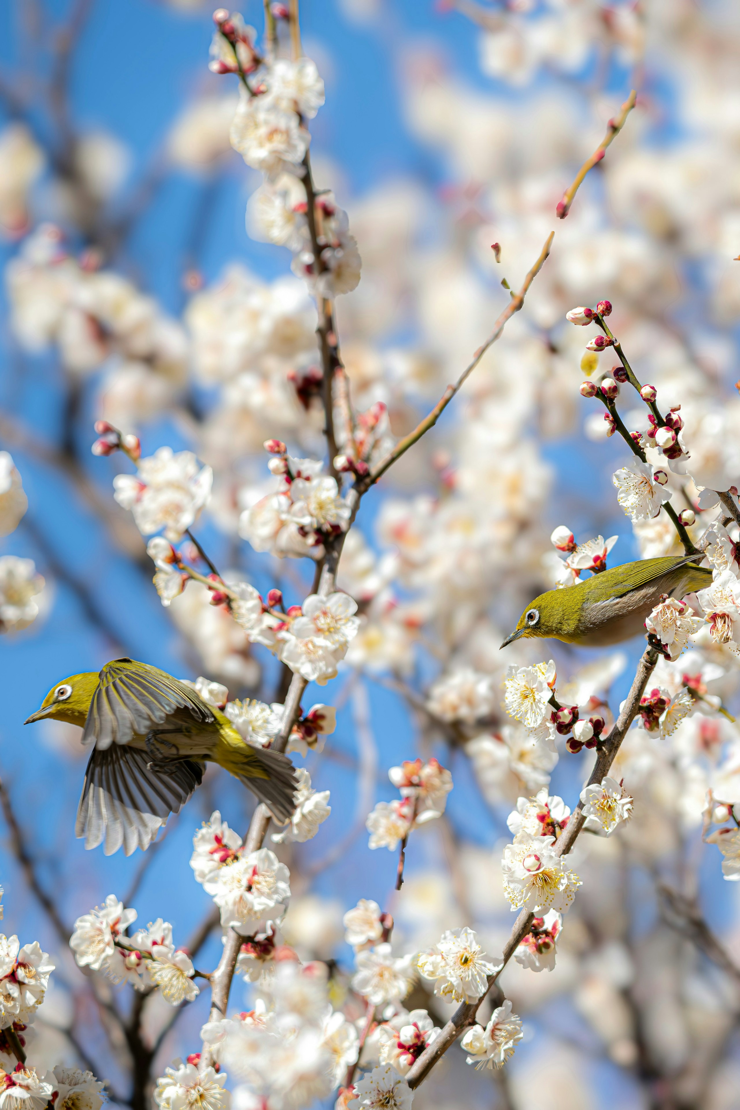 Foto oleh 川崎悠貴