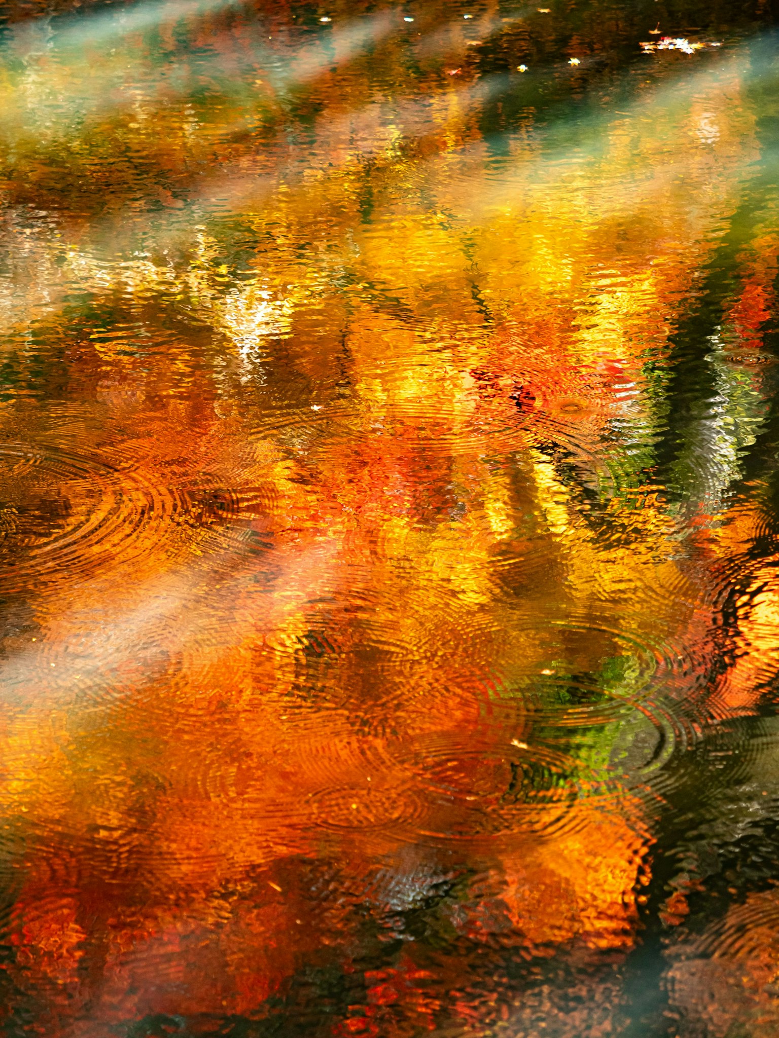 2025-11-listen-closely-image-4