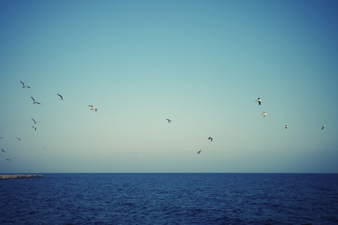 Image by Jang Kumi