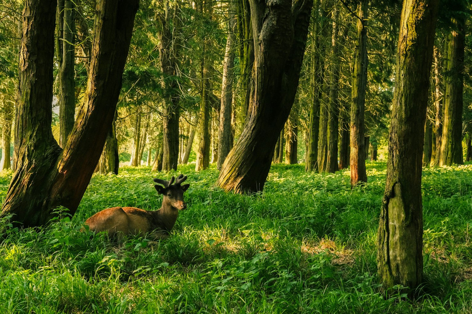 2025-06-sunlit-days-image-4