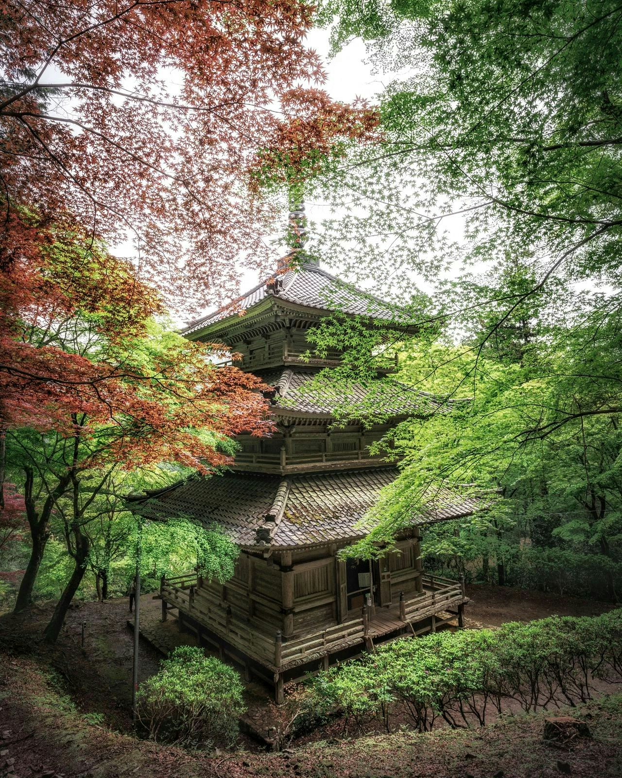Image by yanma222