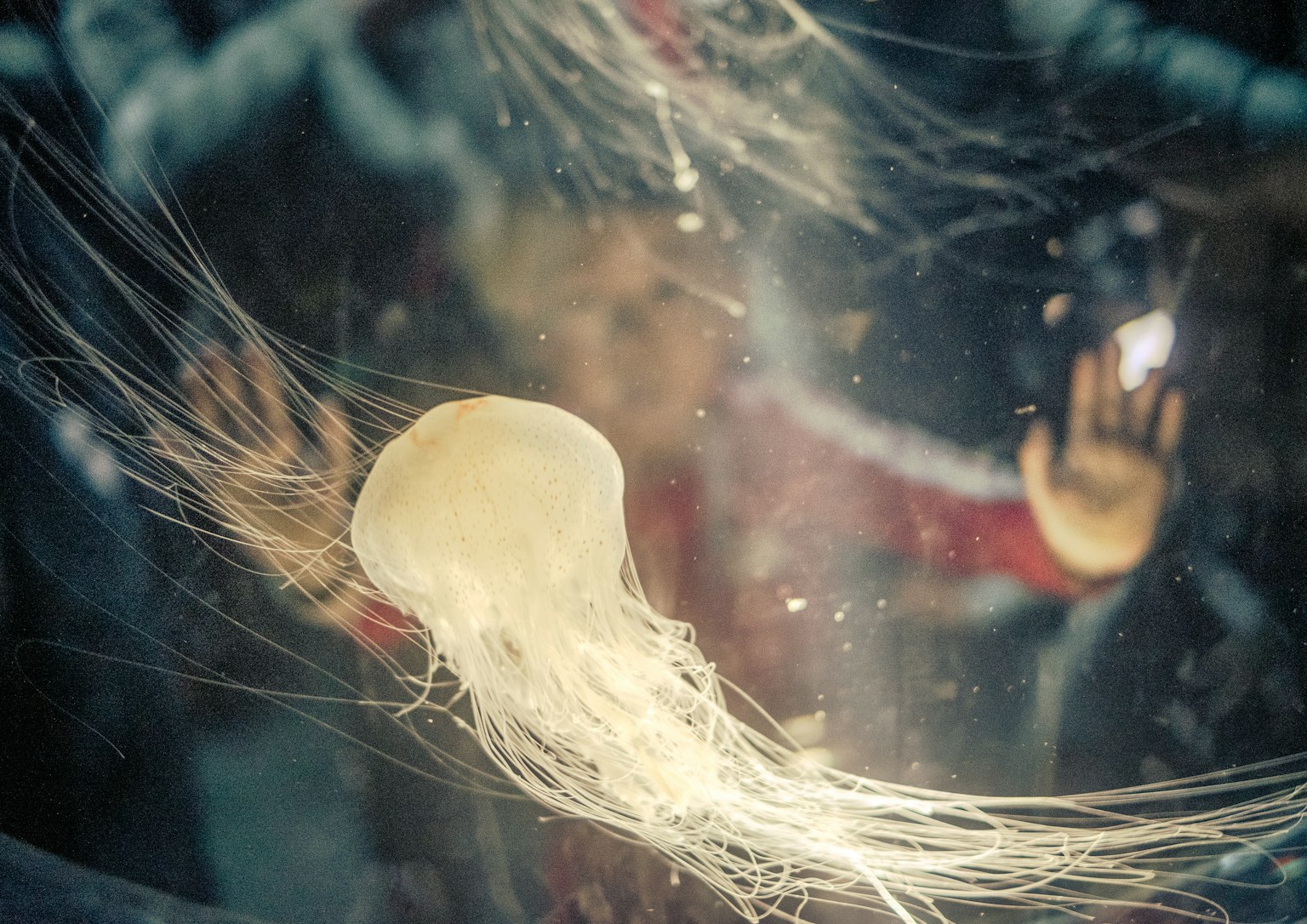 2024-02-new-year-resolution-award-image-8