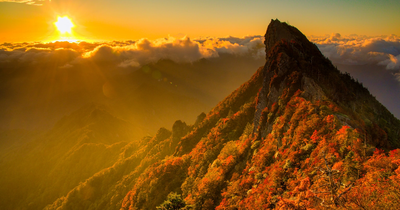 2024-10-apple-spatial-photo-cover-image