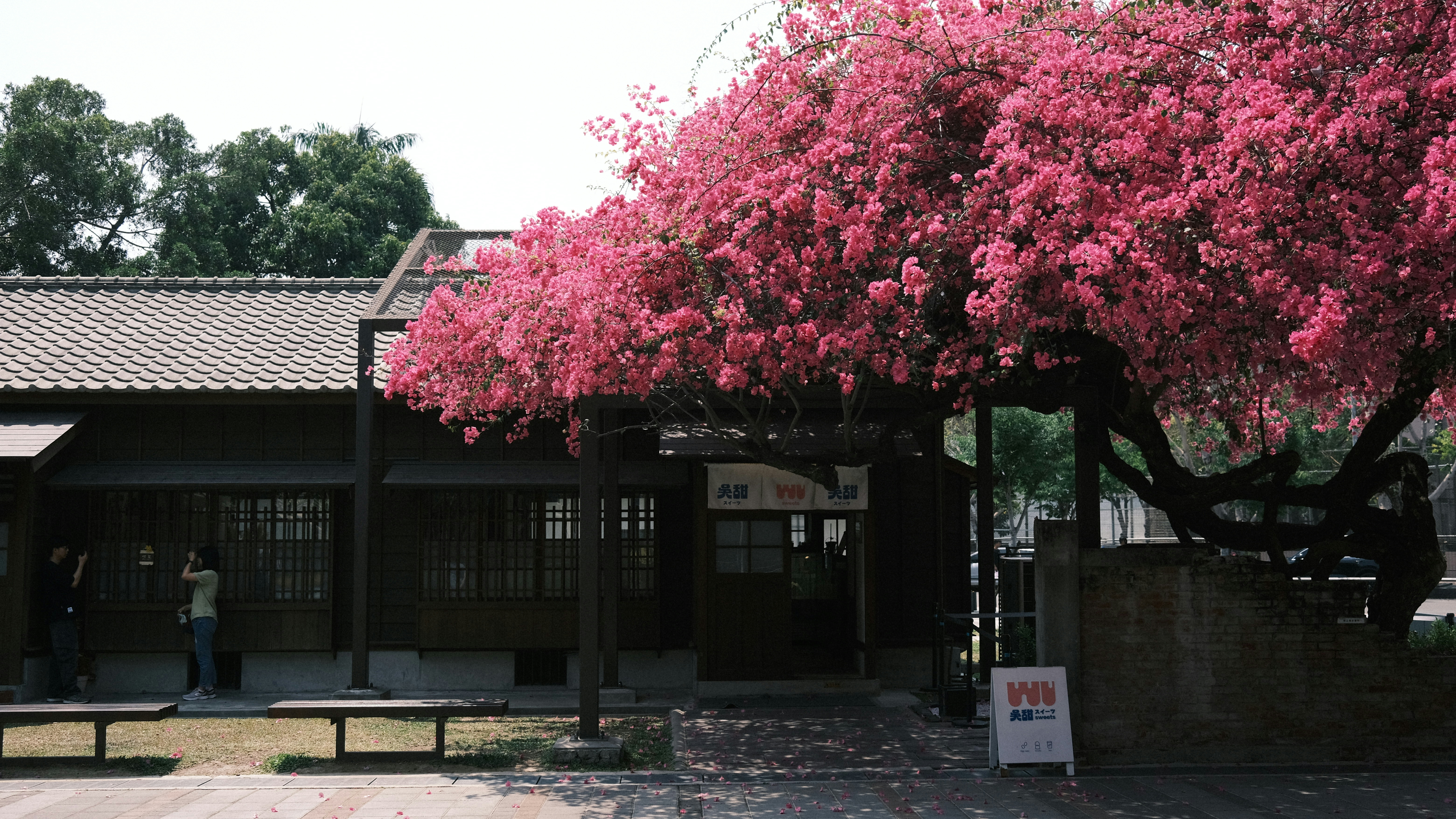 2026-05-find-new-pieces-spring-cover-image