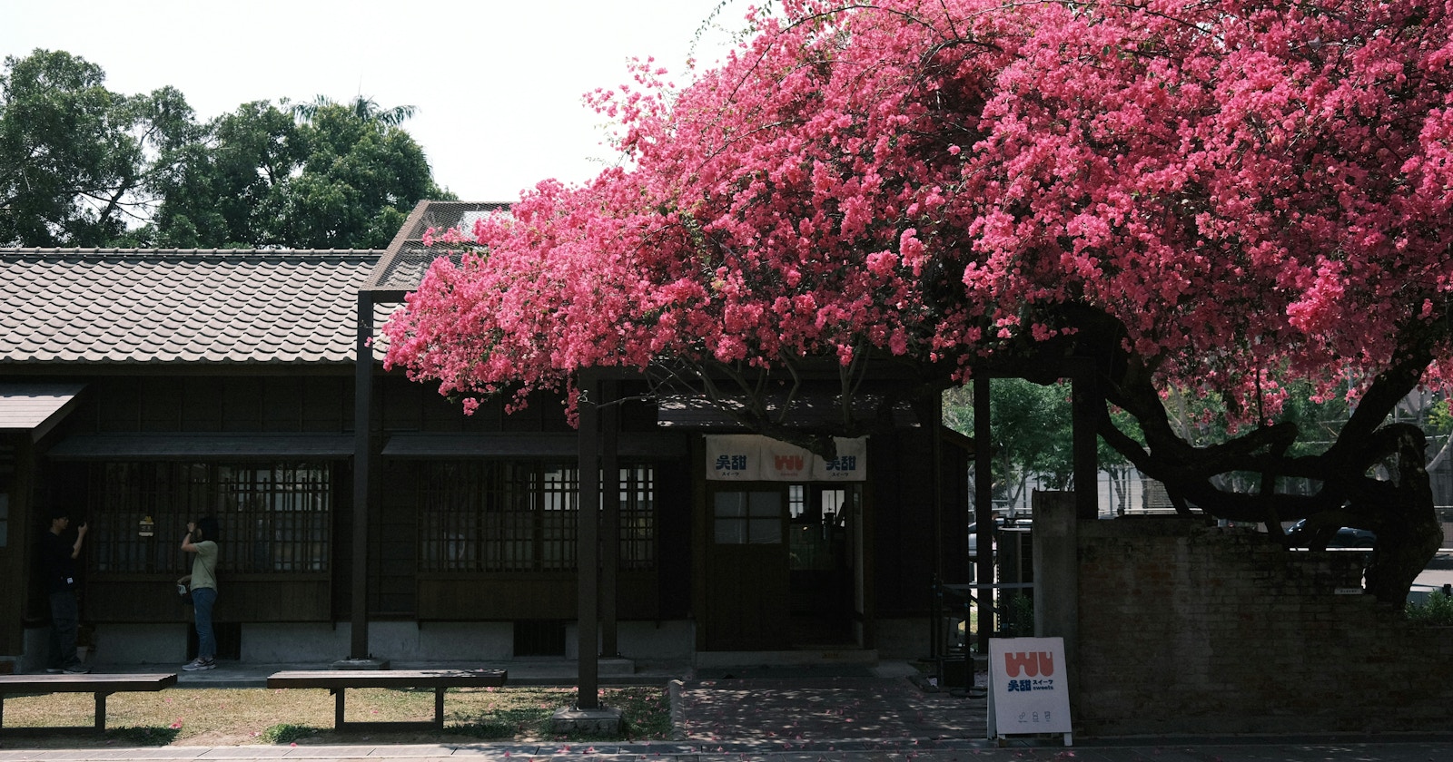 Threads 発掘企画 | find new pieces『spring』| まだ見ぬ才能に出会う | Focus #665