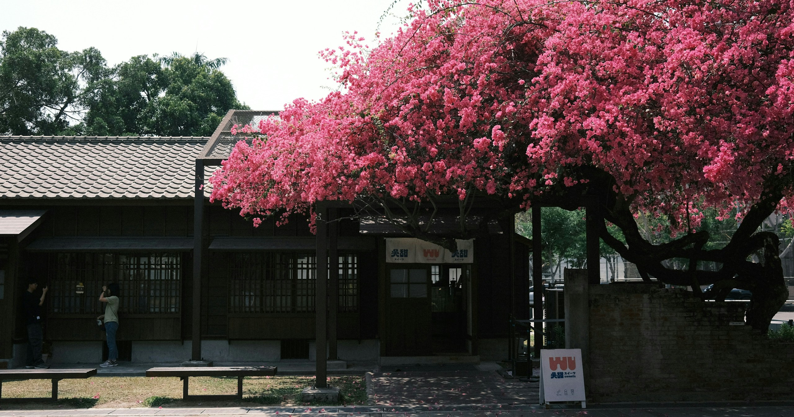 Threads 發掘企劃 | find new pieces『spring』| 遇見尚未被發現的才華 | Focus #665