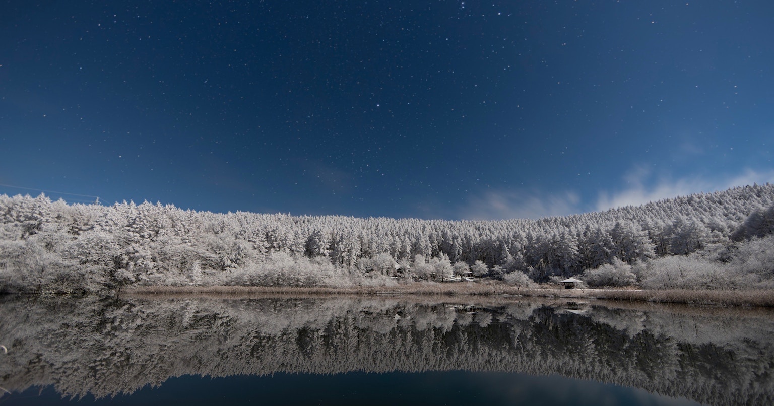 2024-01-end-of-year-reflection-award-cover-image