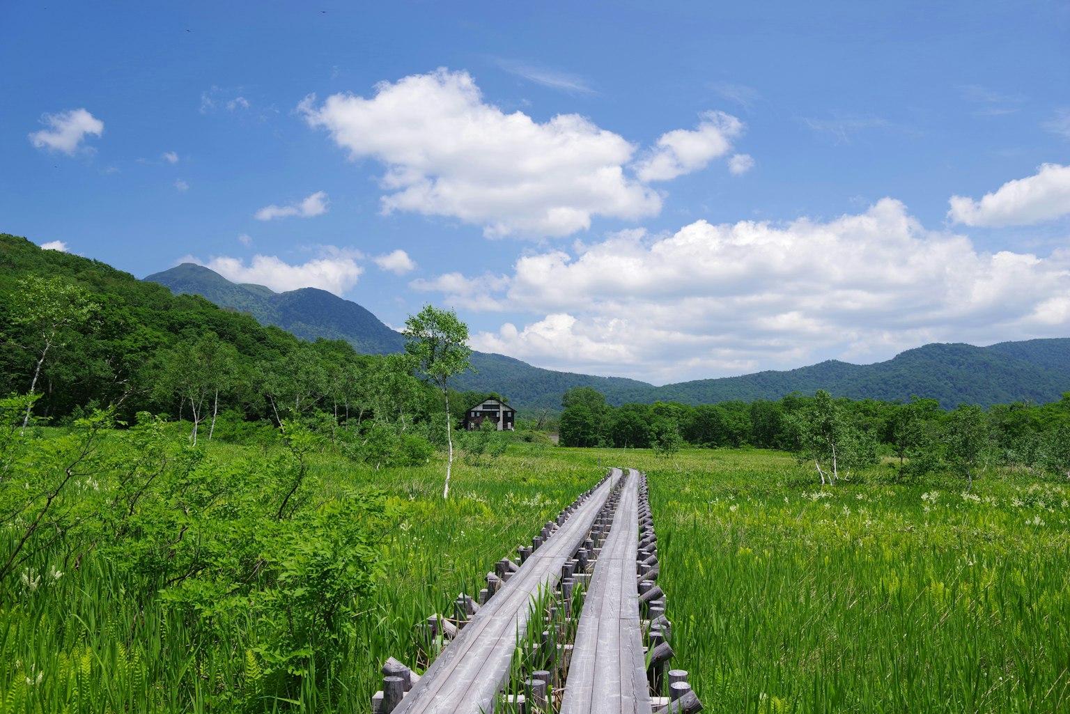 2025-07-snap-image-8