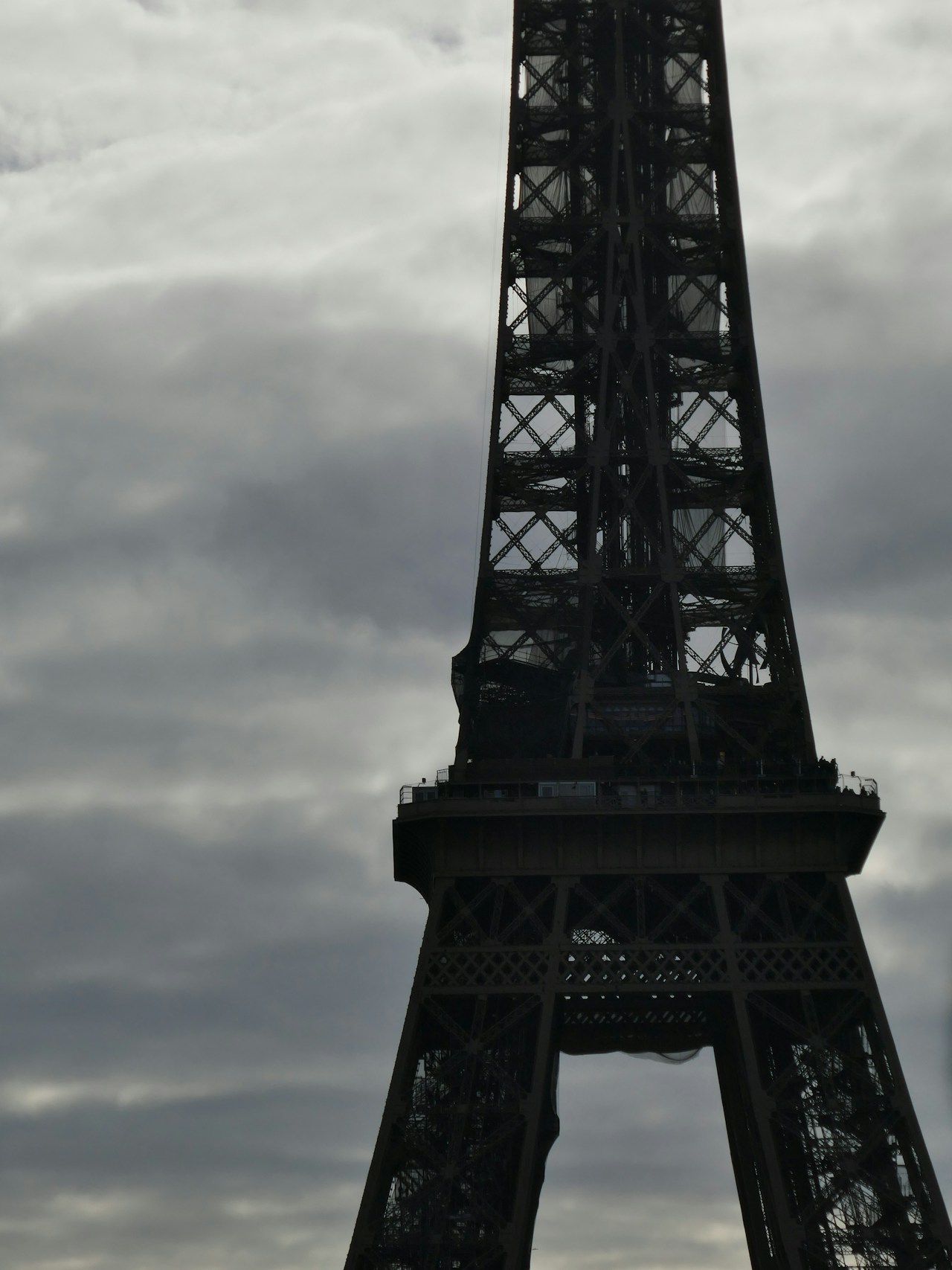 Image by luca