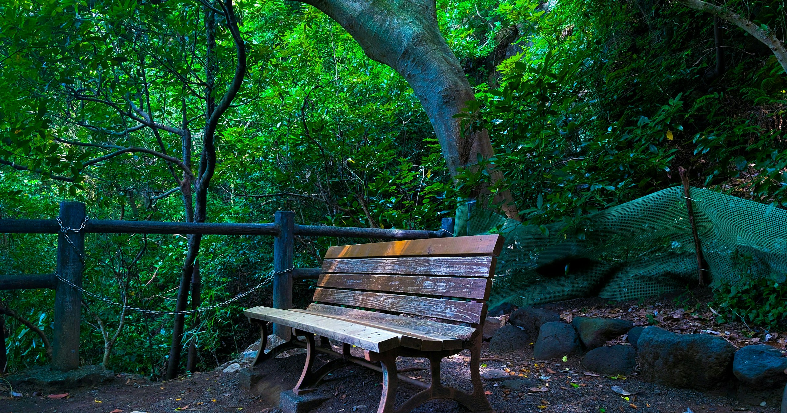 2025-08-nature-cover-image