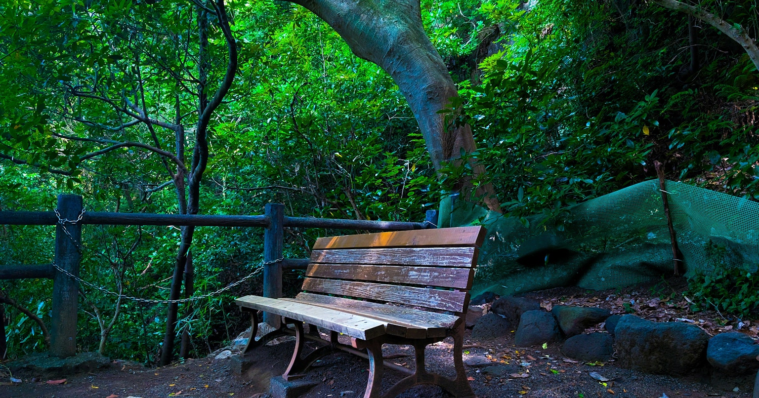 2025-08-nature-cover-image