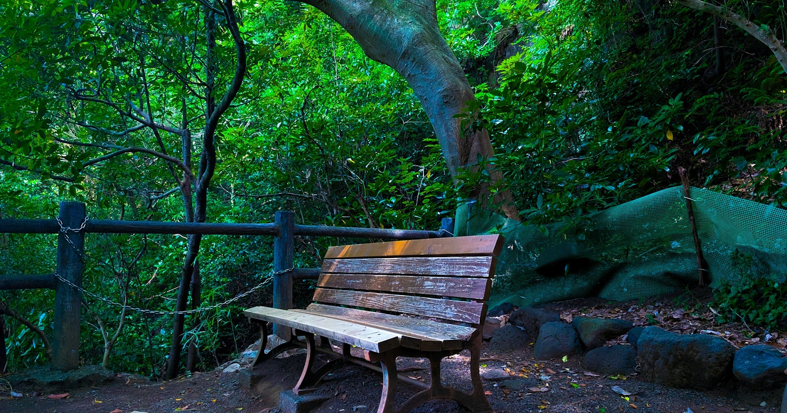 #nature | Refresca tu verano capturando la naturaleza | Focus #510
