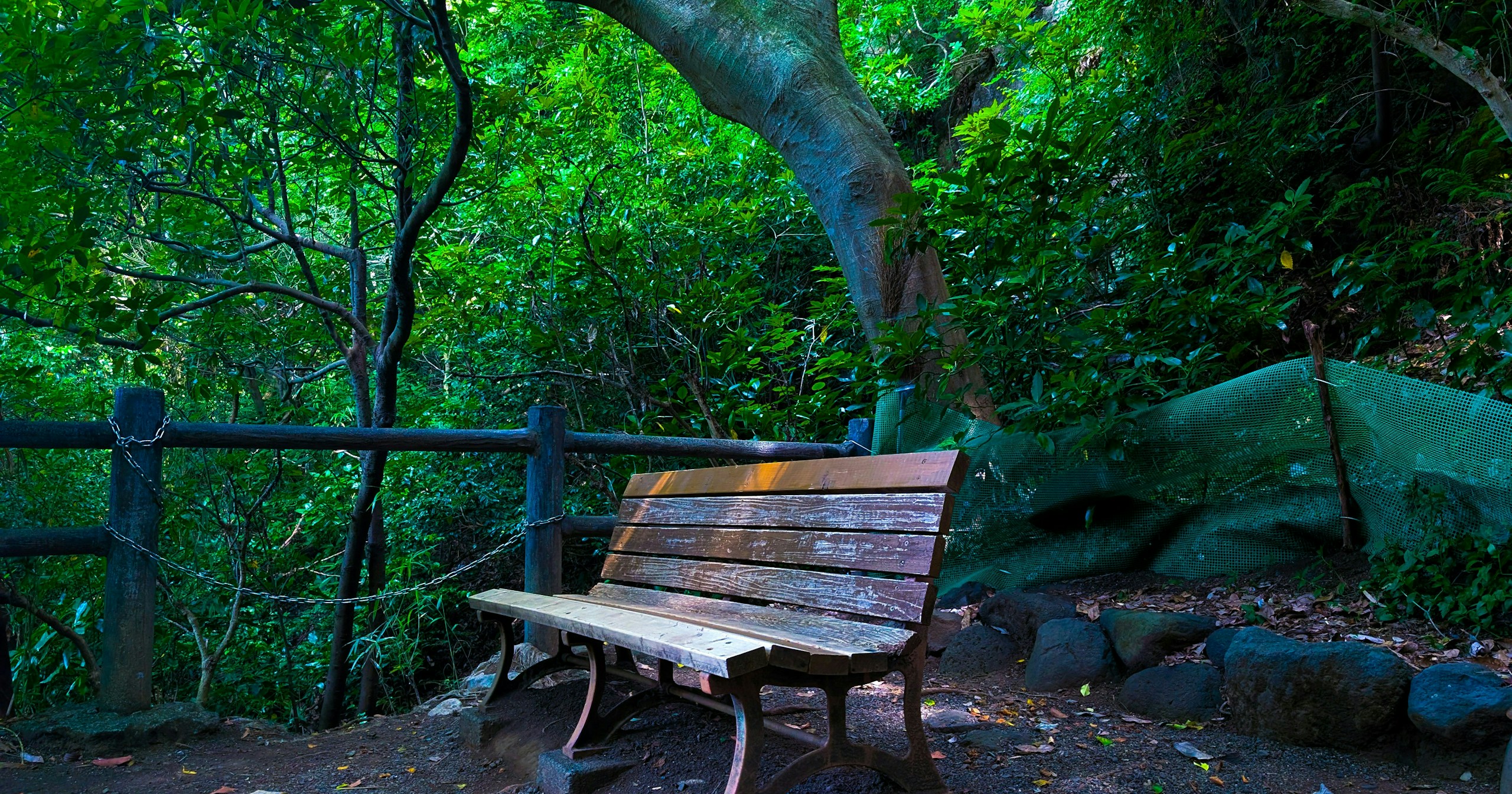 #nature | Refresca tu verano capturando la naturaleza | Focus #510