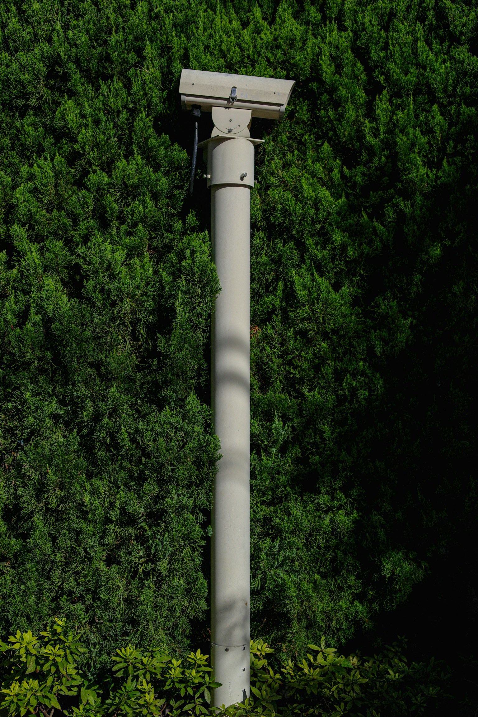 2025-05-if-your-camera-stolen-image-5