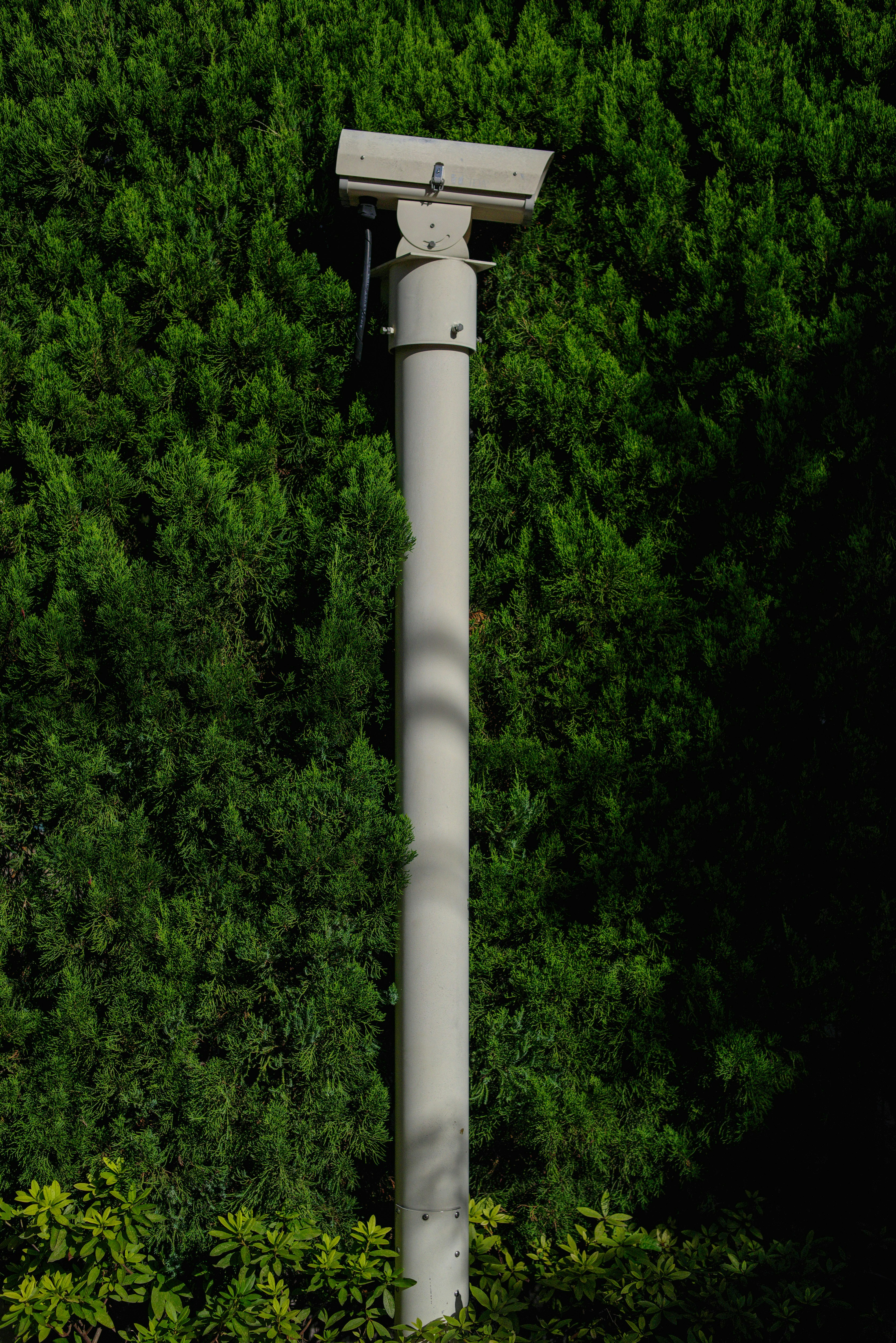 2025-05-if-your-camera-stolen-image-5