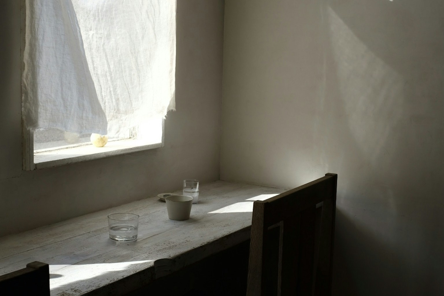2024-04-hikari-2-image-12