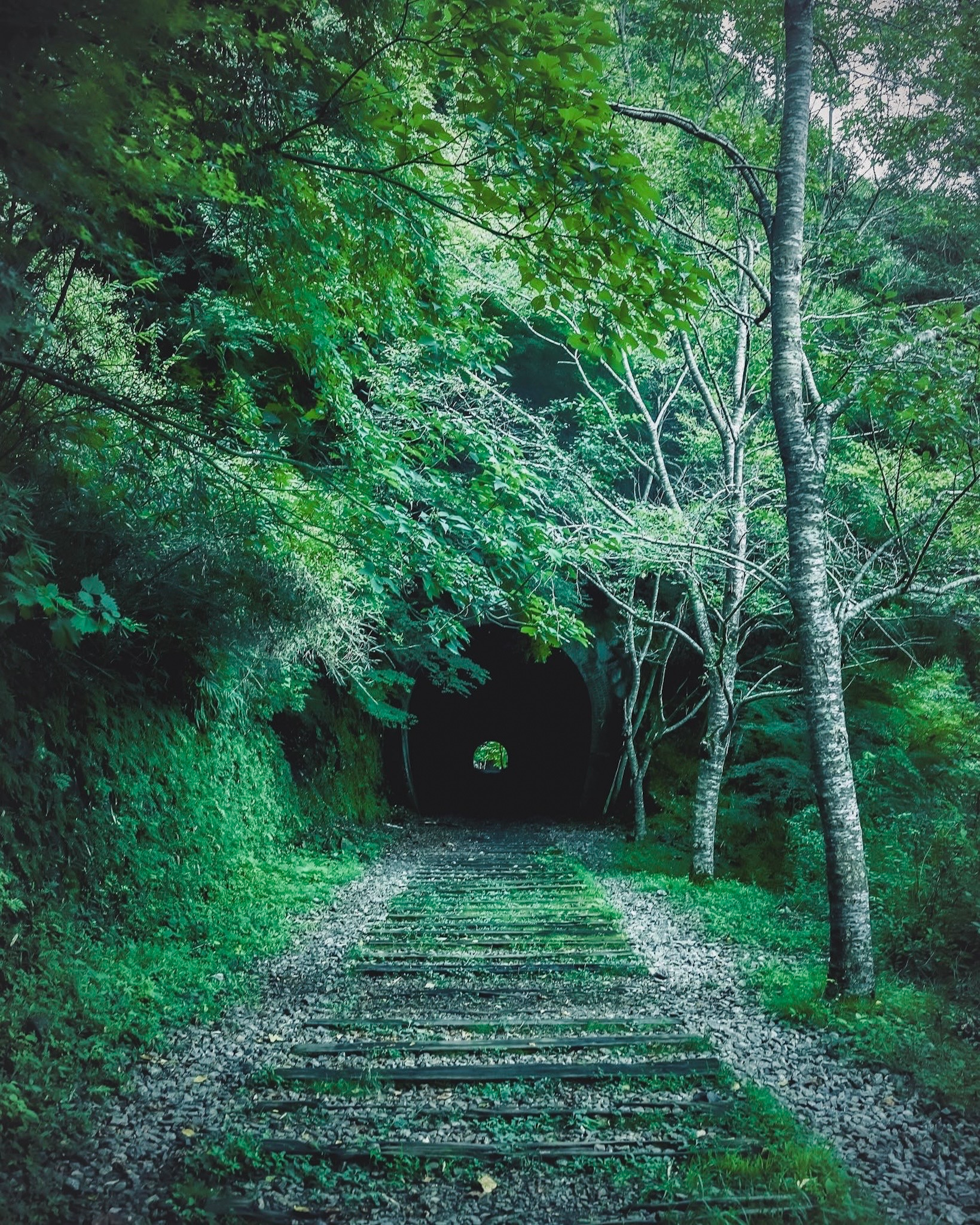 Image by bird of passage
