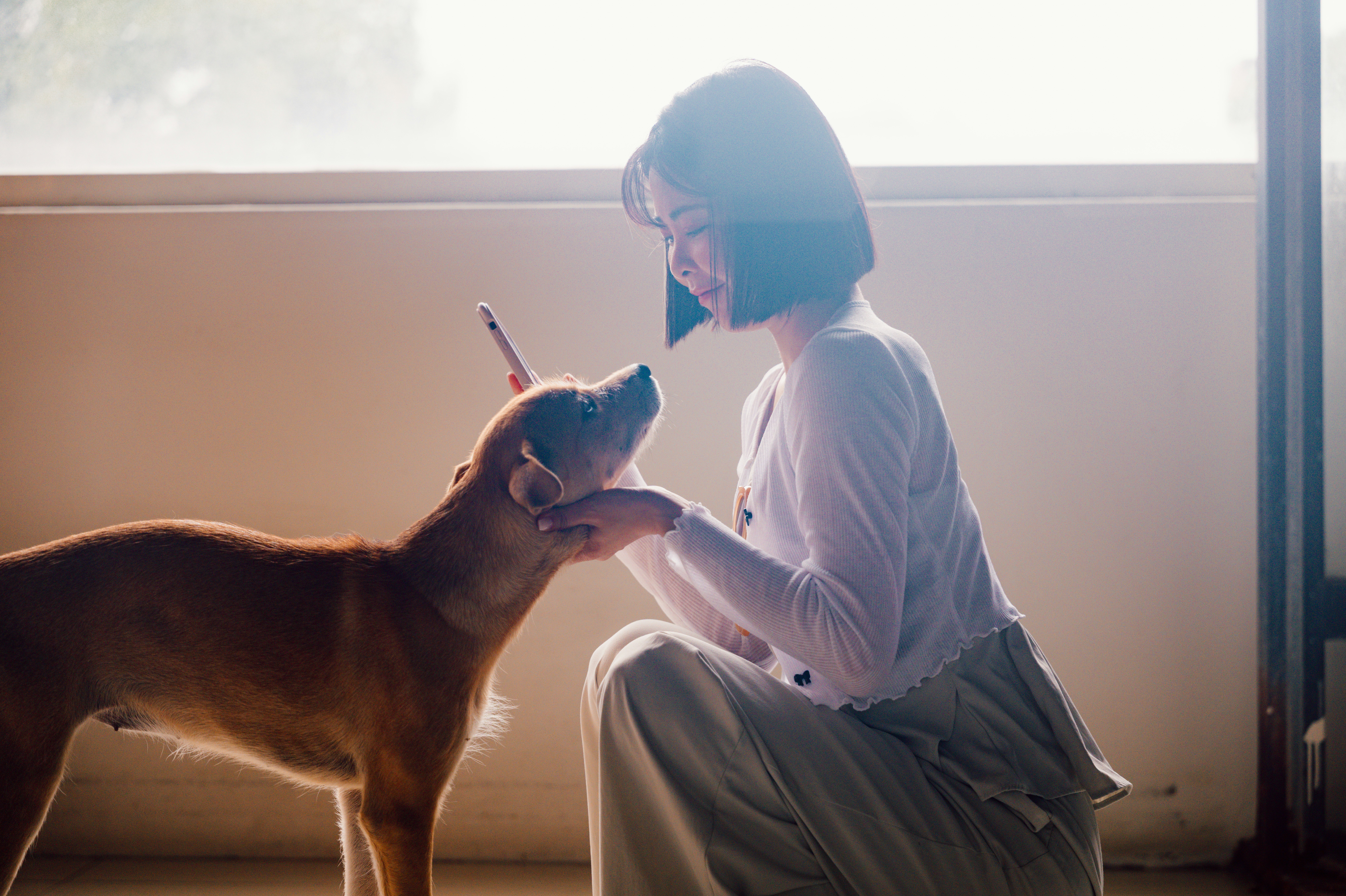 2026-03-animal-report-image-9