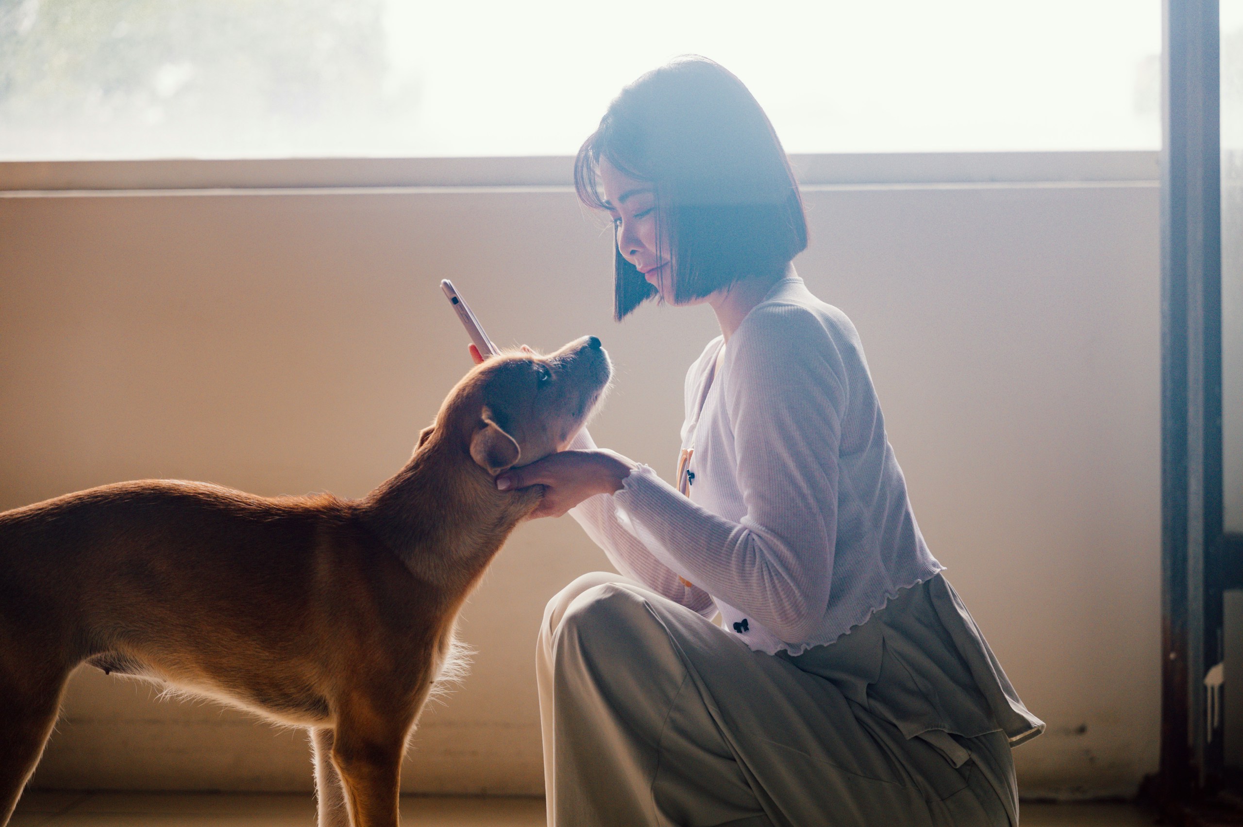 2026-03-animal-report-image-9