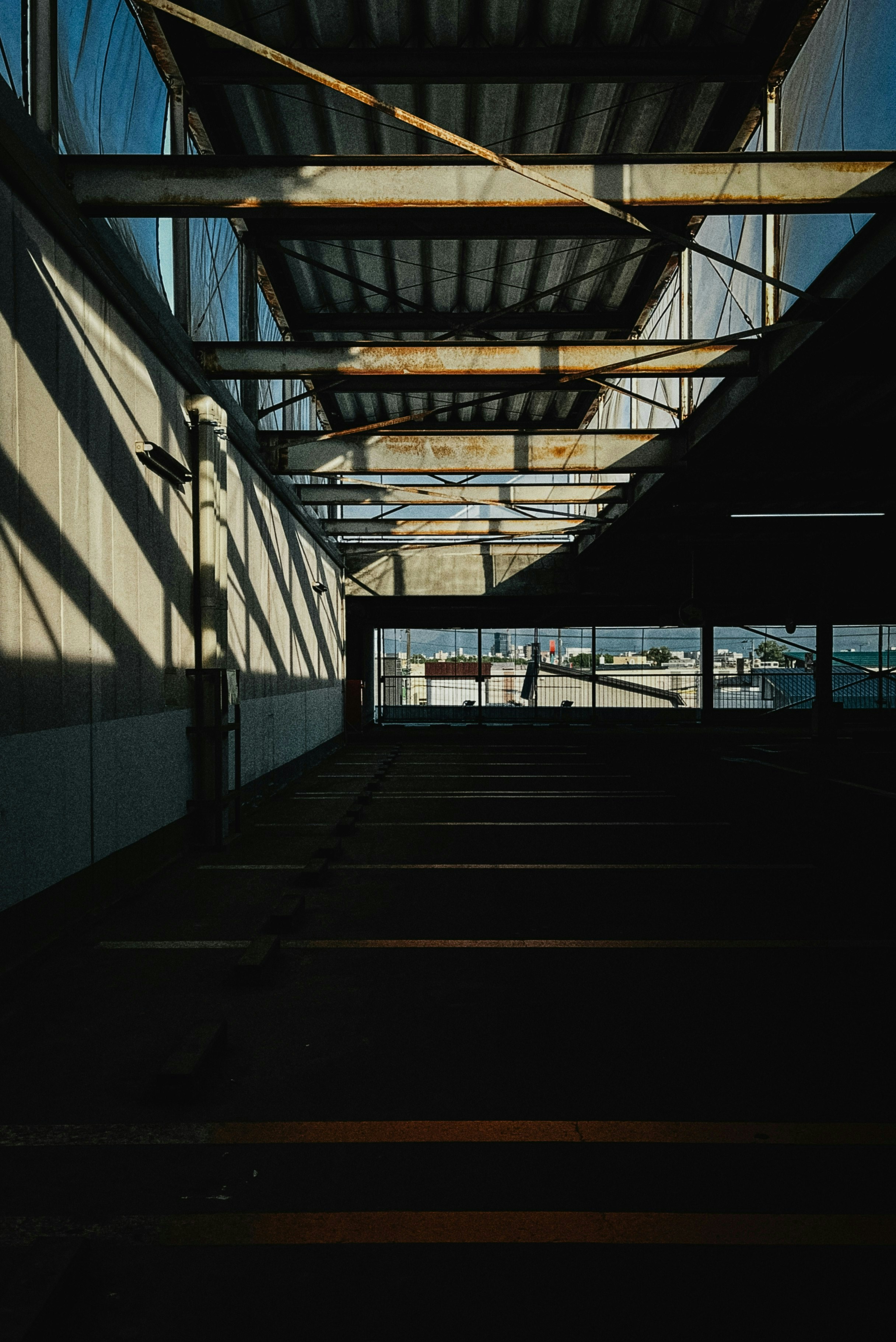 Photo by daphoto