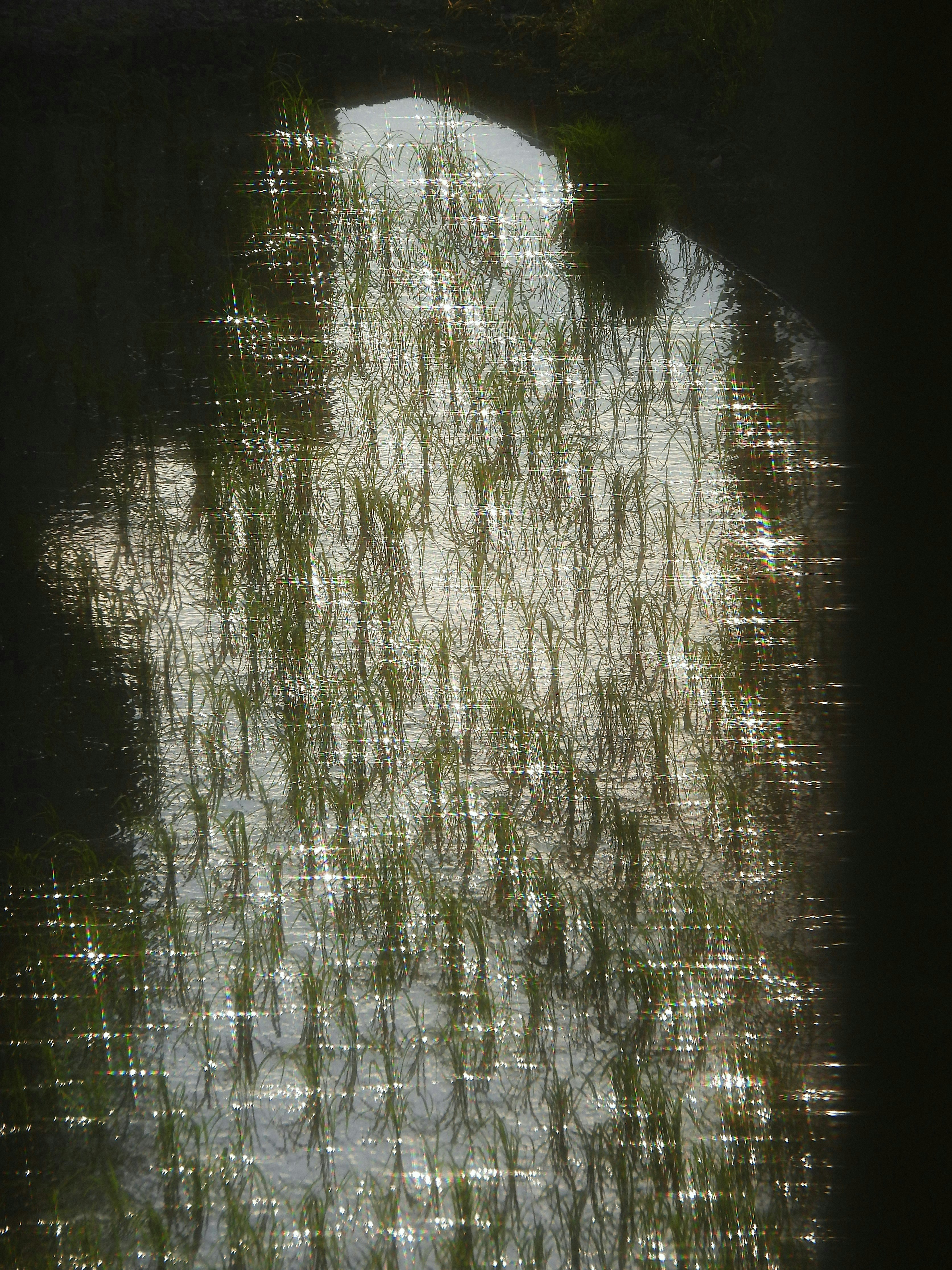 2025-07-living-with-rain-award-image-15