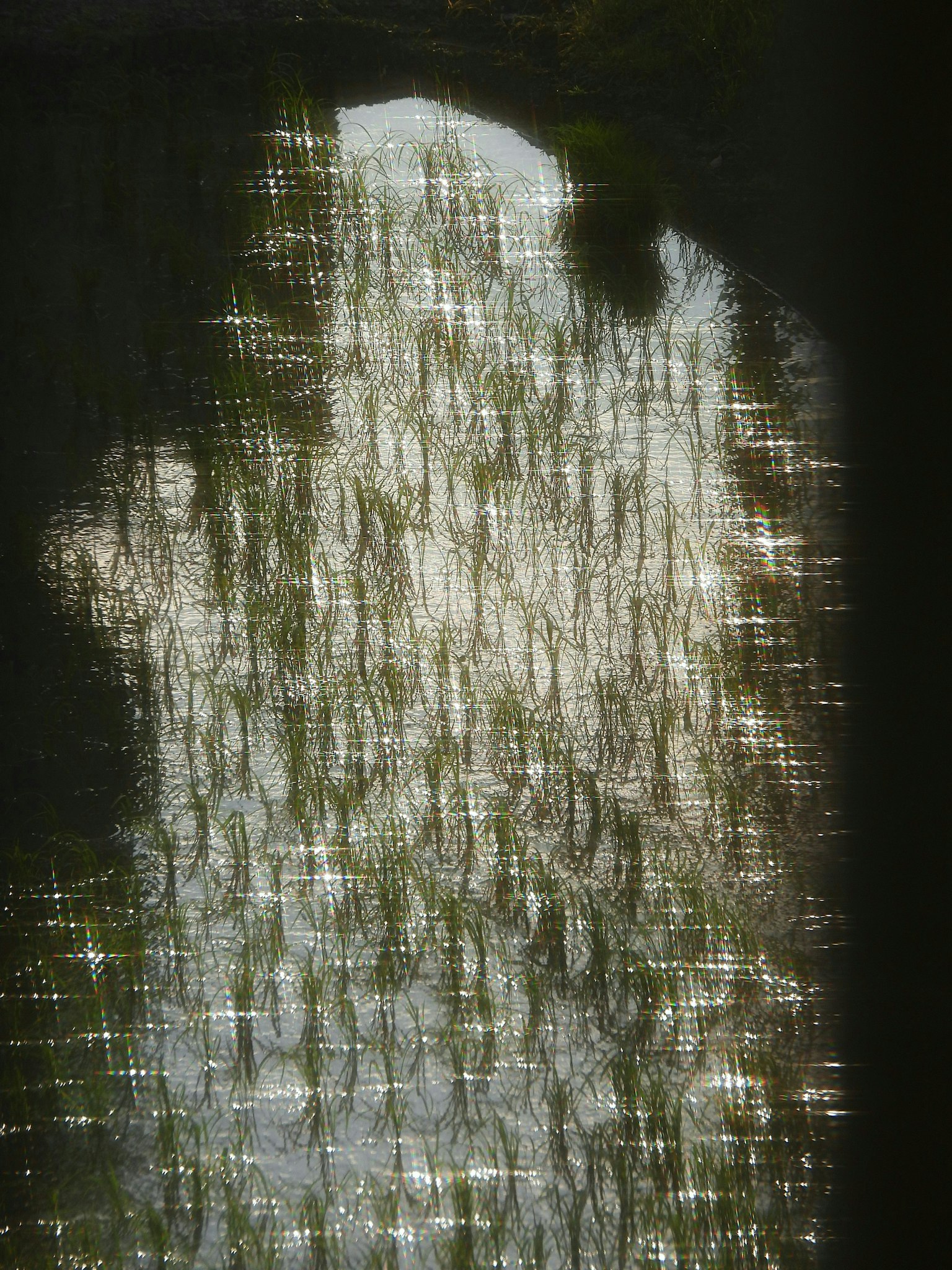 2025-07-living-with-rain-award-image-15