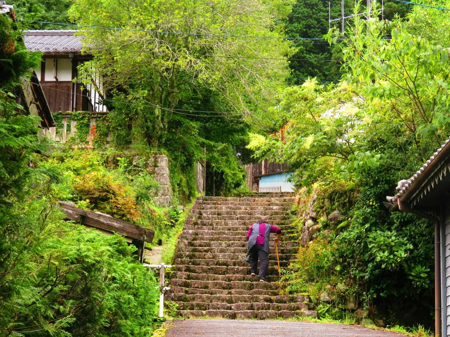 2025-03-steps-of-life-image-4