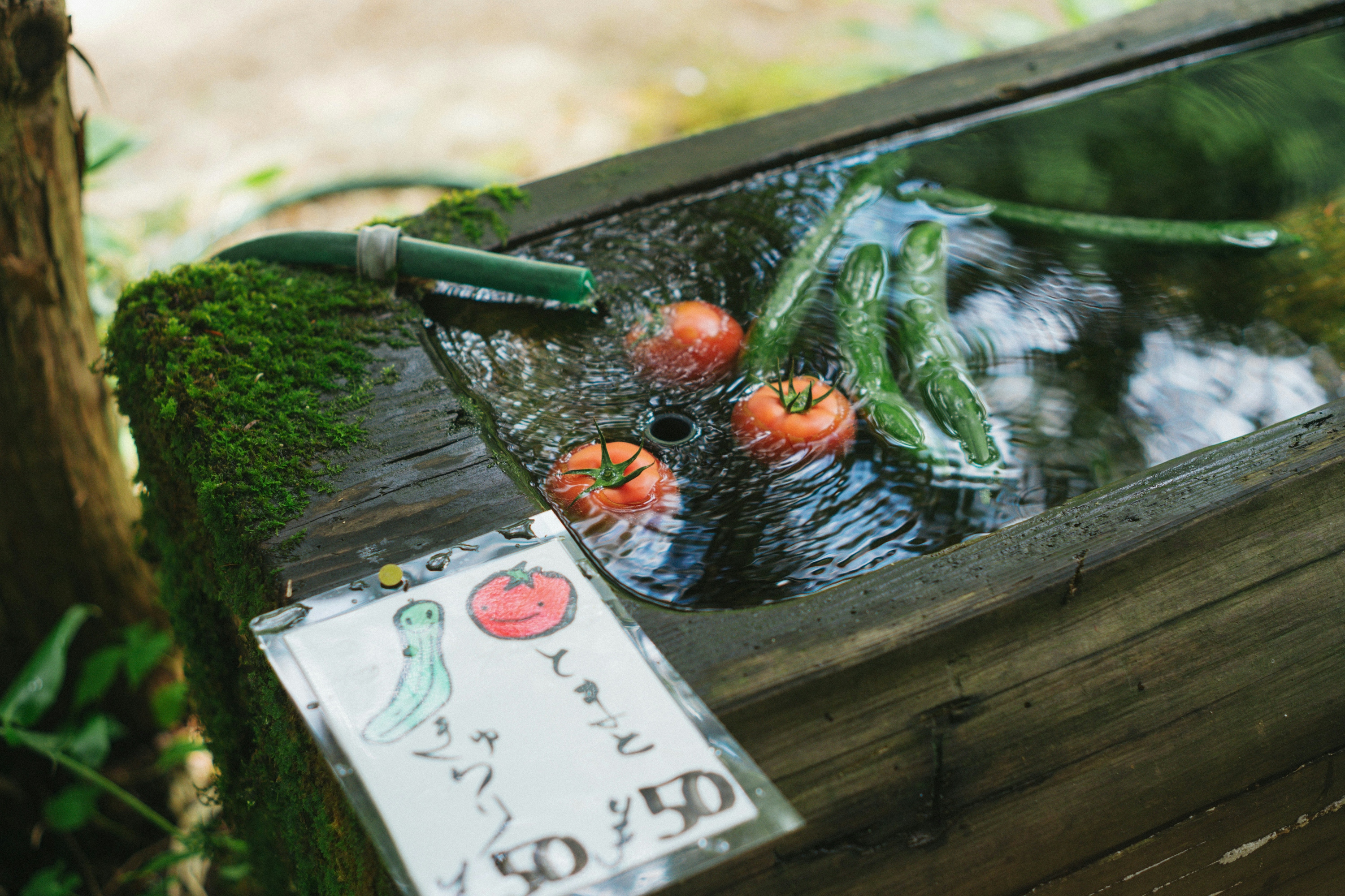 2026-07-hida-takayama-spots-by-hamada-nobuhiro-cover-image