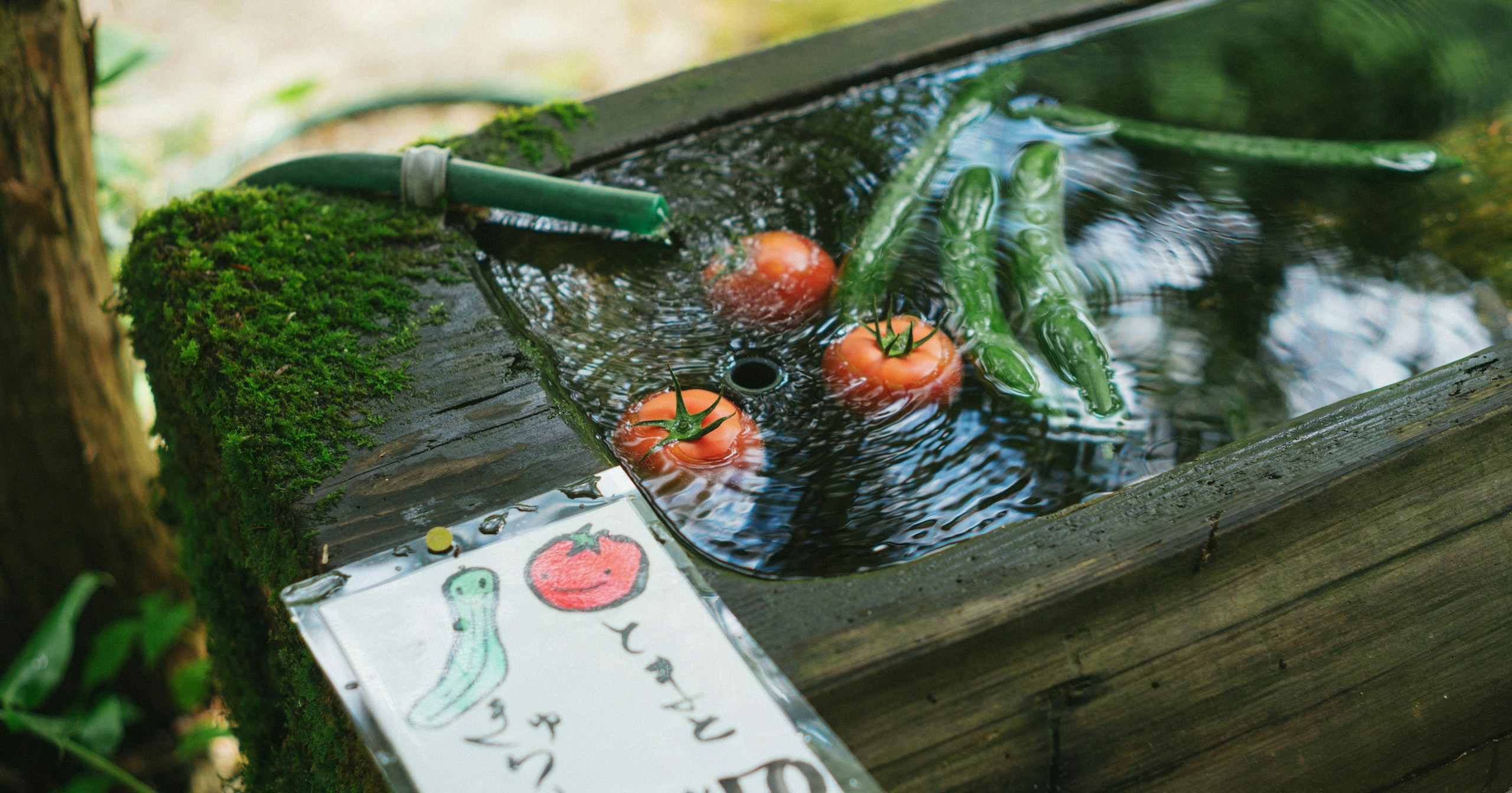 Fotospots in Hida-Takayama mit Nobuhiro Hamada | ISSUE #258