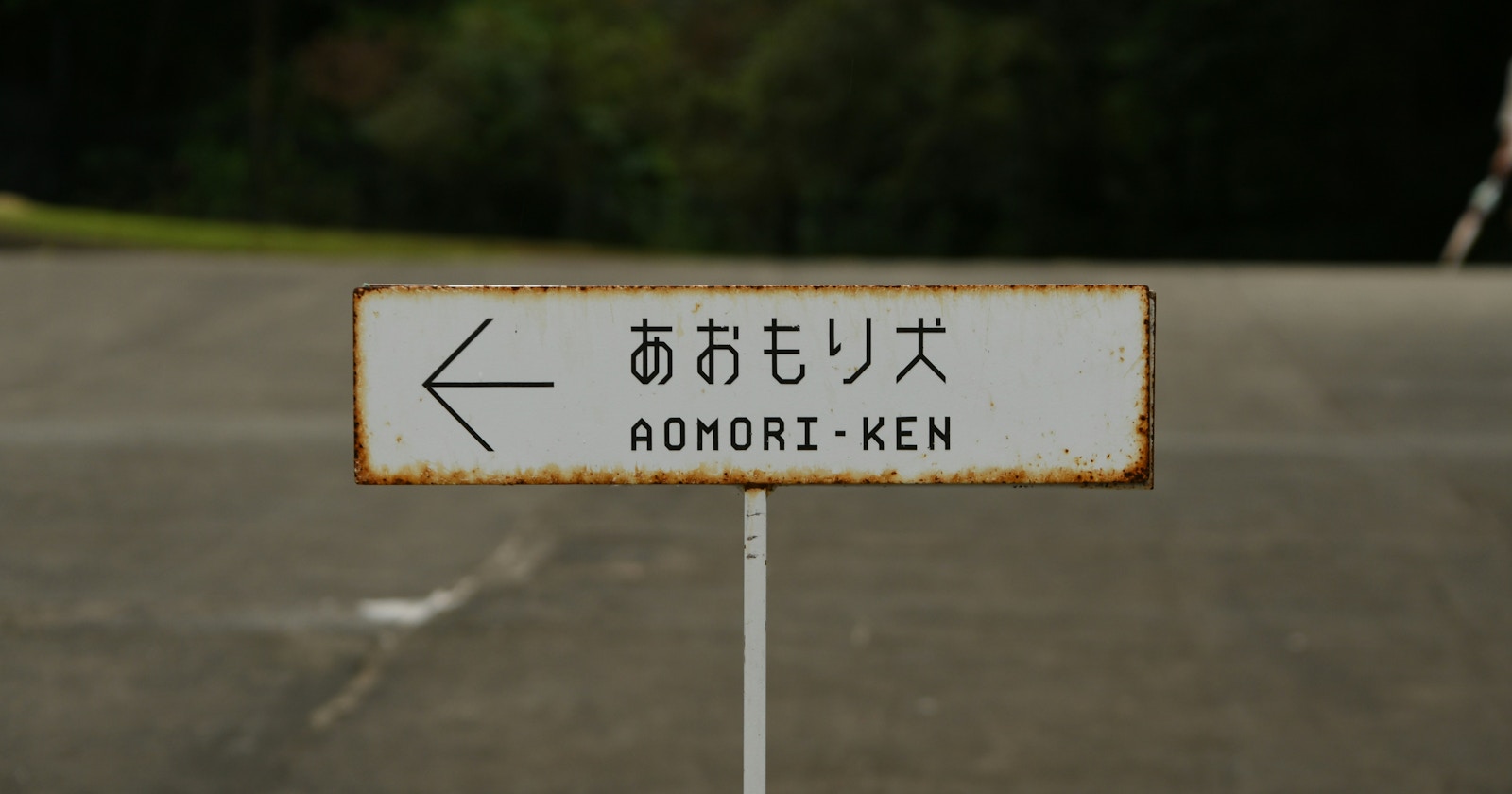 #Aomori | Must-Visit Photography Spots | Focus #479