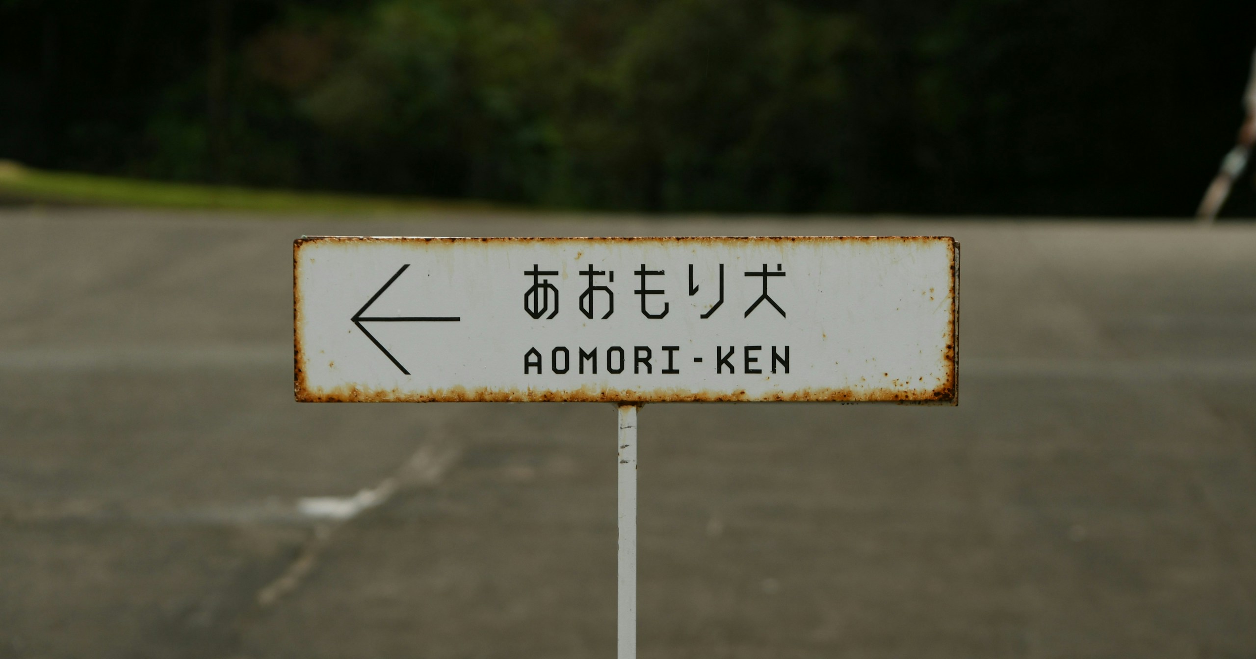 #Aomori | Must-Visit Photography Spots | Focus #479