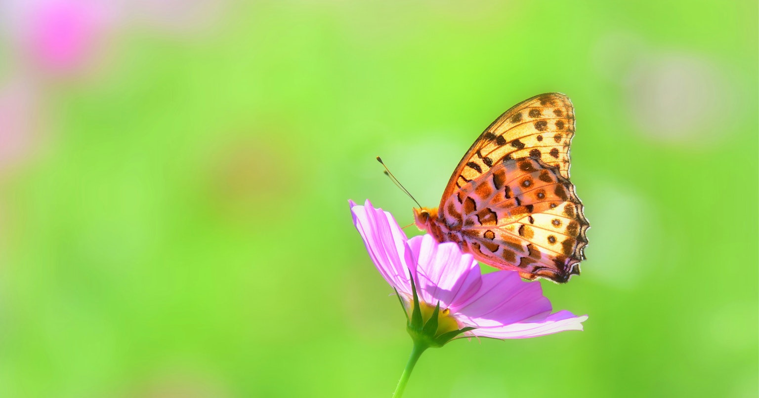 2024-08-outof-focus-report-cover-image