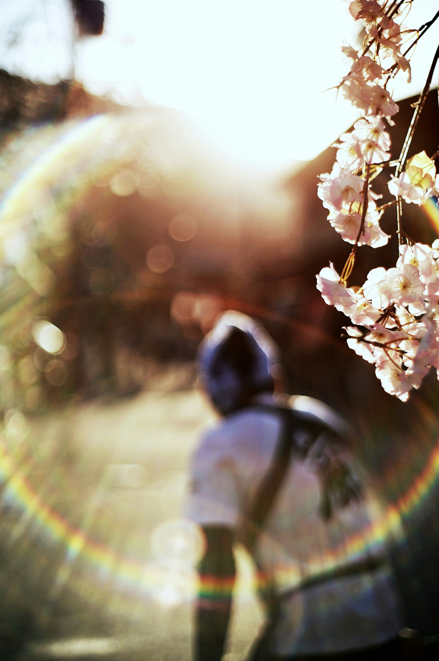 2024-04-how-to-take-fragile-photoes-image-14