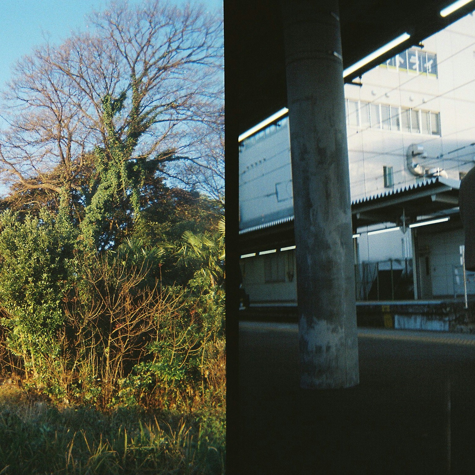 2024-06-half-format-camera-cover-image
