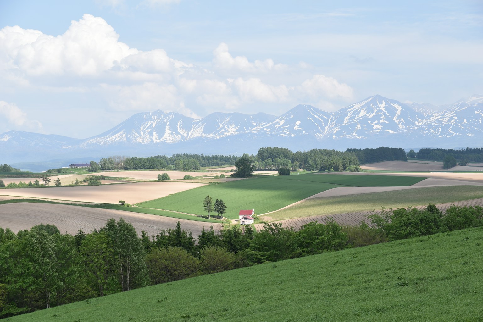 2024-04-hokkaido-2-image-11