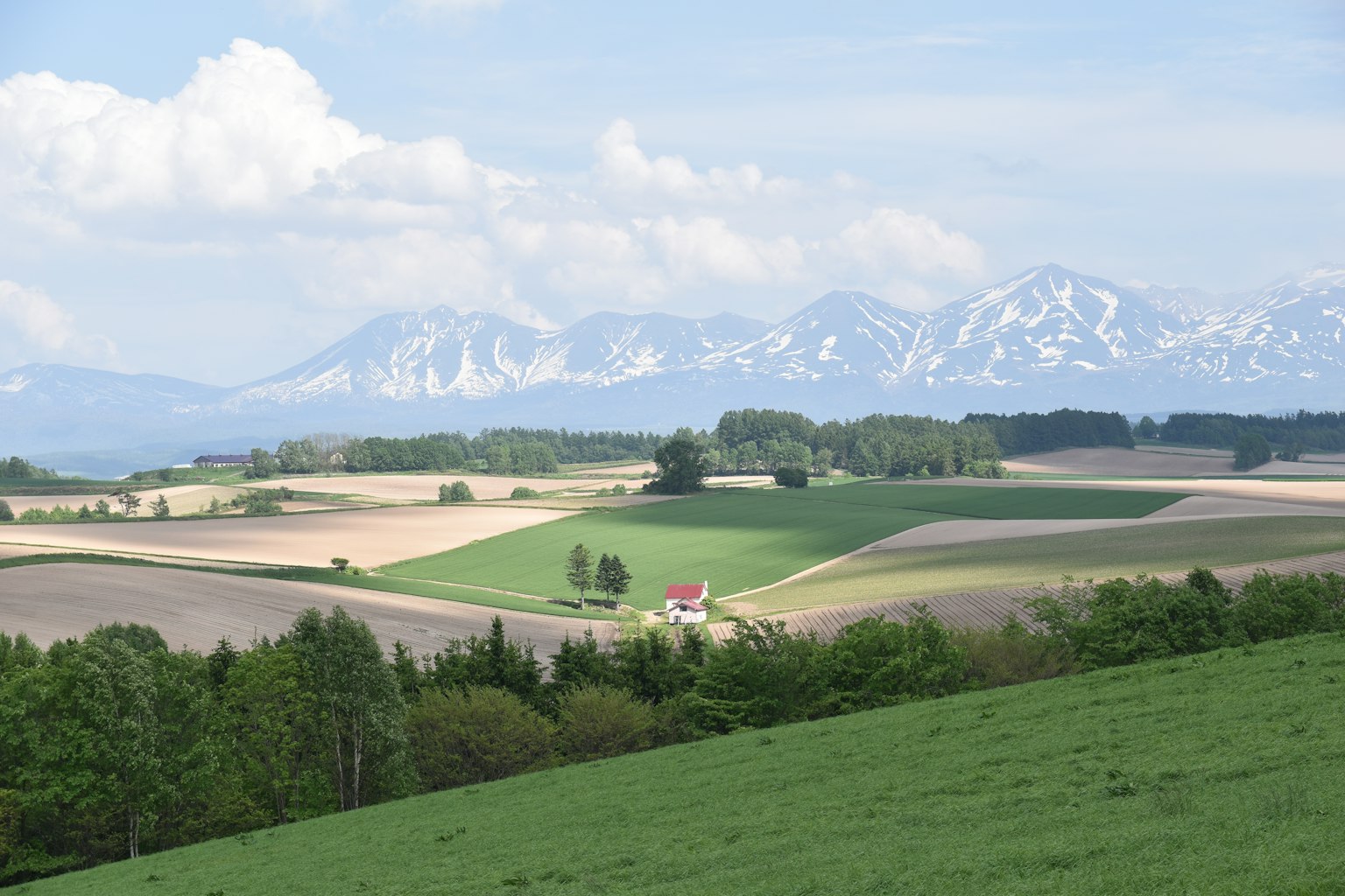 2024-04-hokkaido-2-image-11