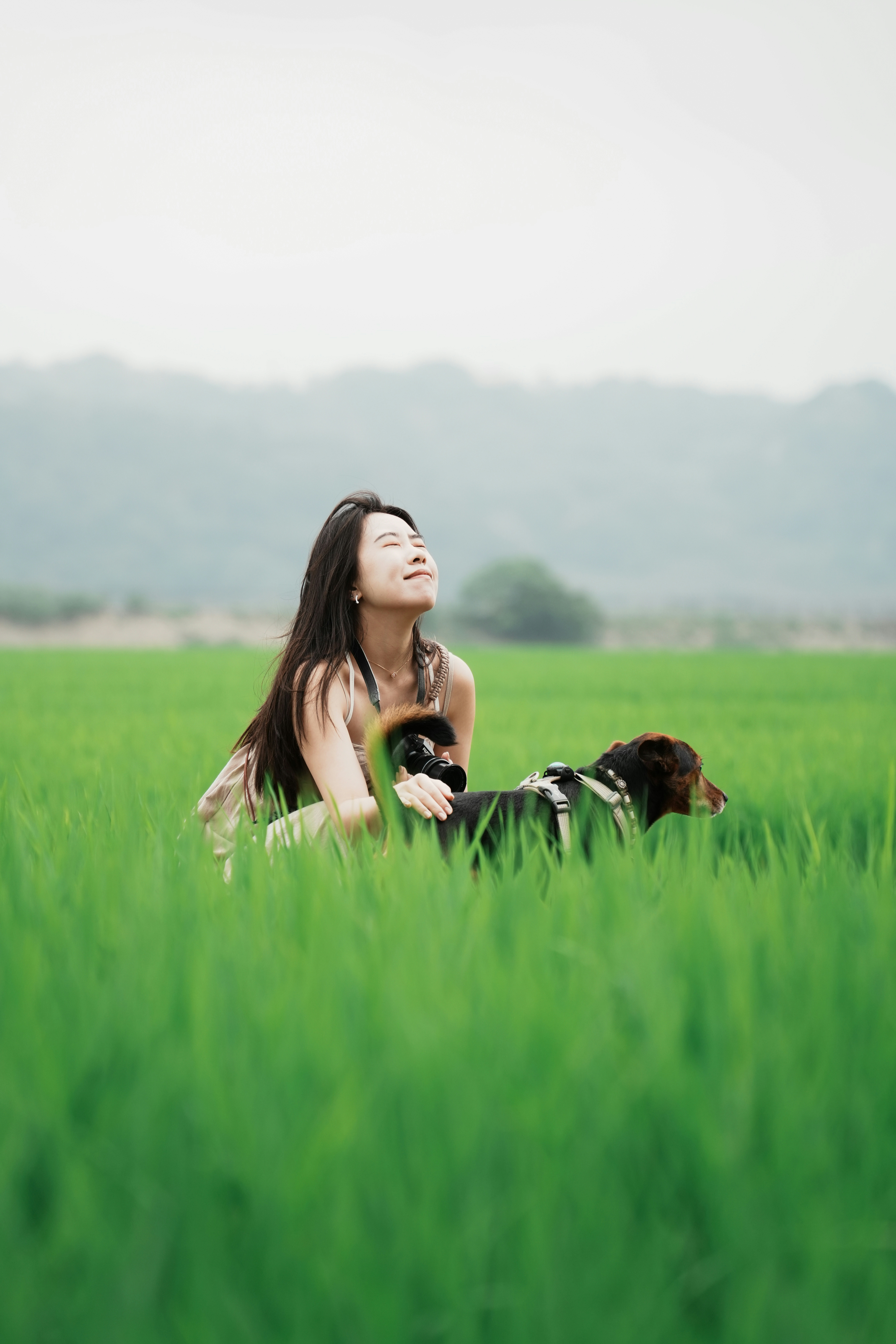 2026-08-find-new-pieces-green-image-14