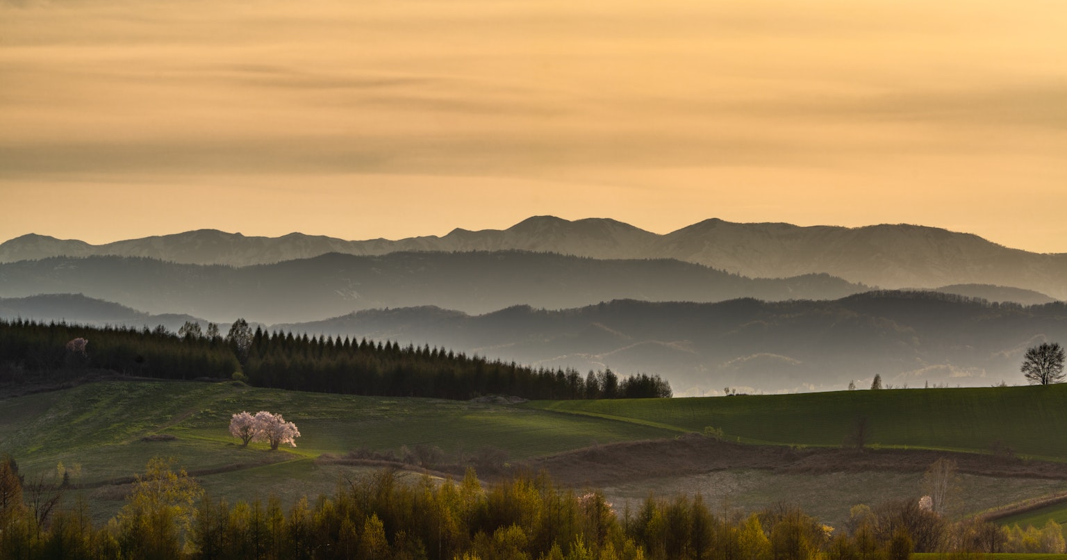 2024-06-spring-landscape-award-cover-image