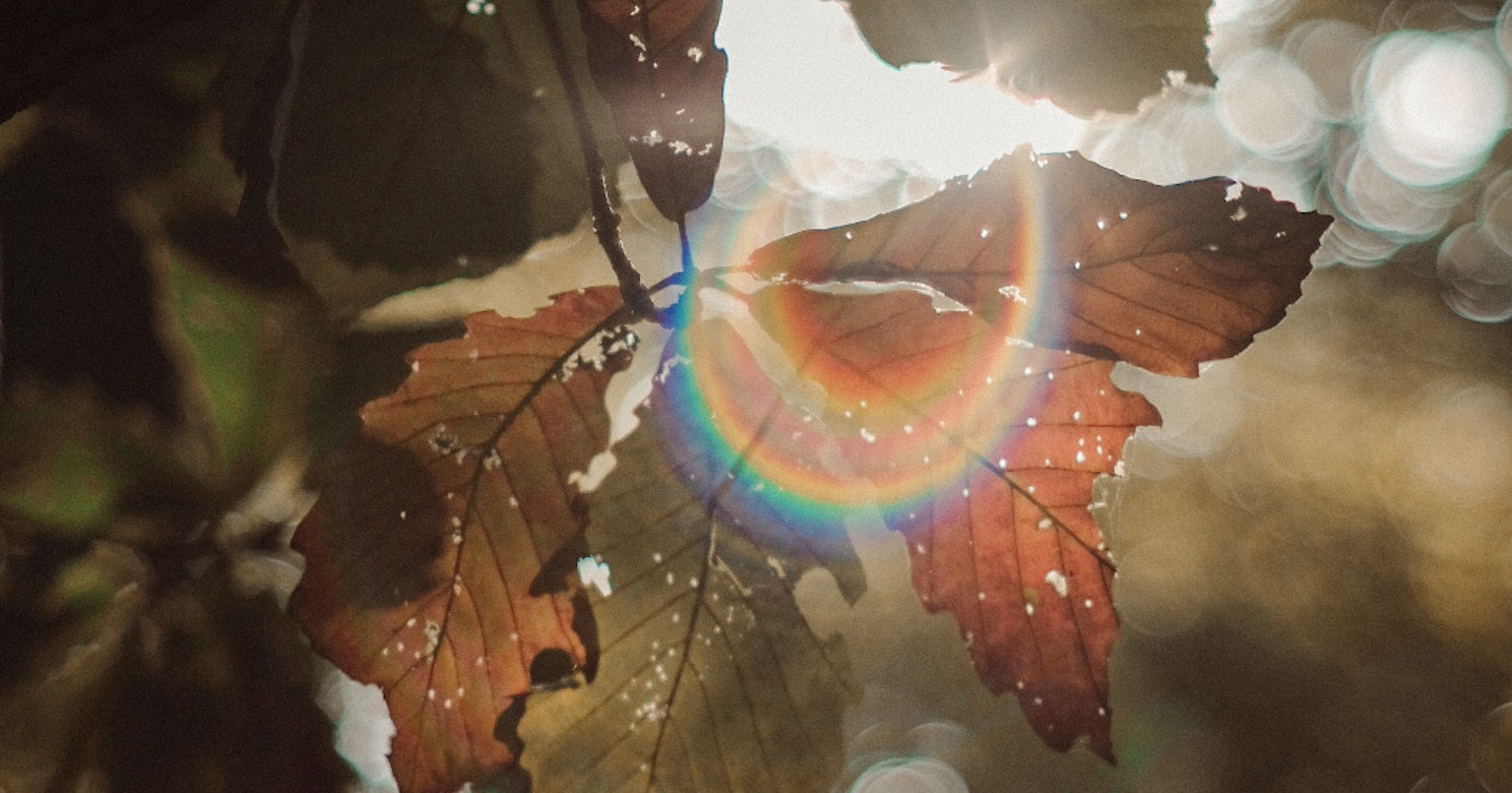 2024-09-cozyvibes-cover-image