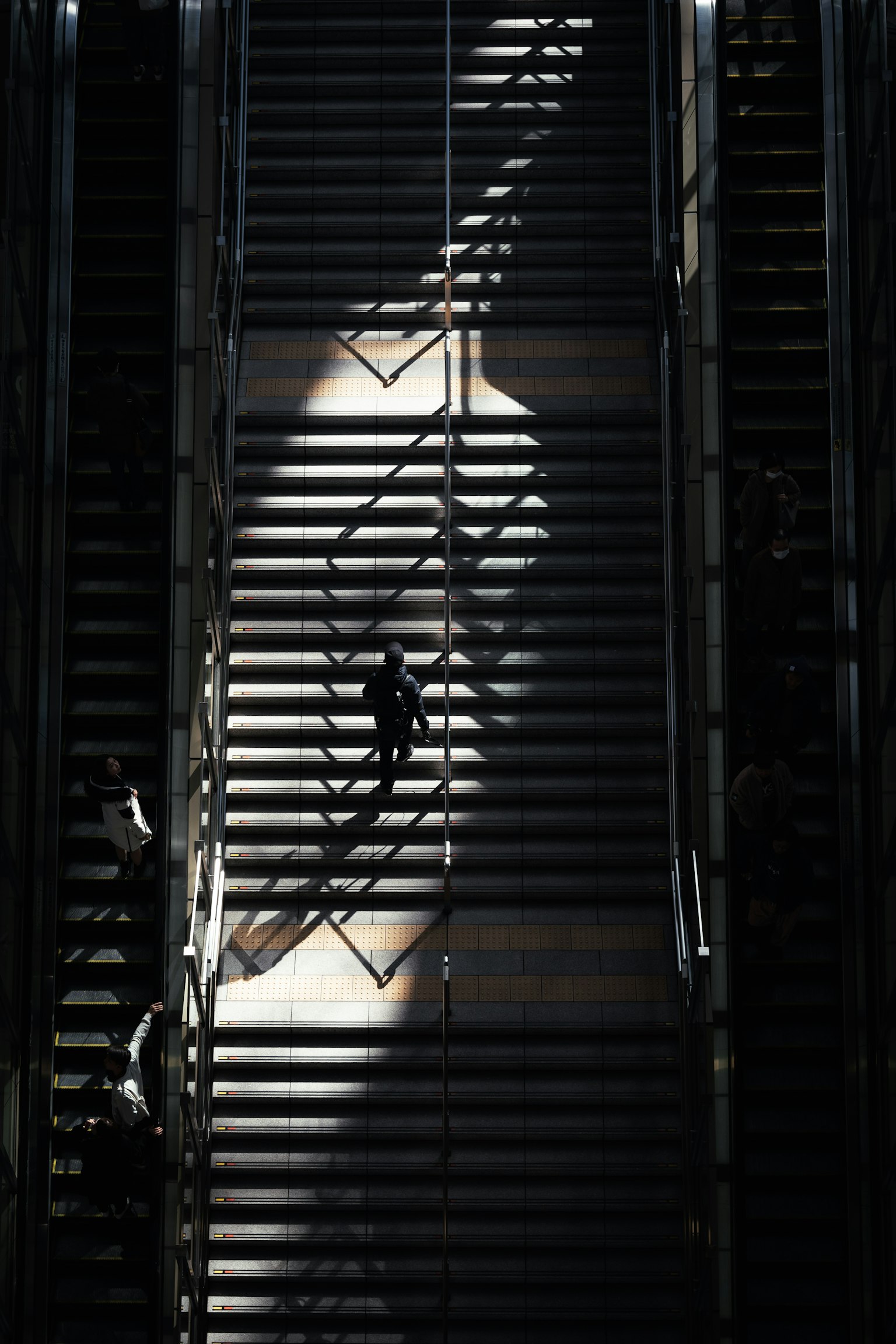2024-05-sunlight-stories-award-image-13