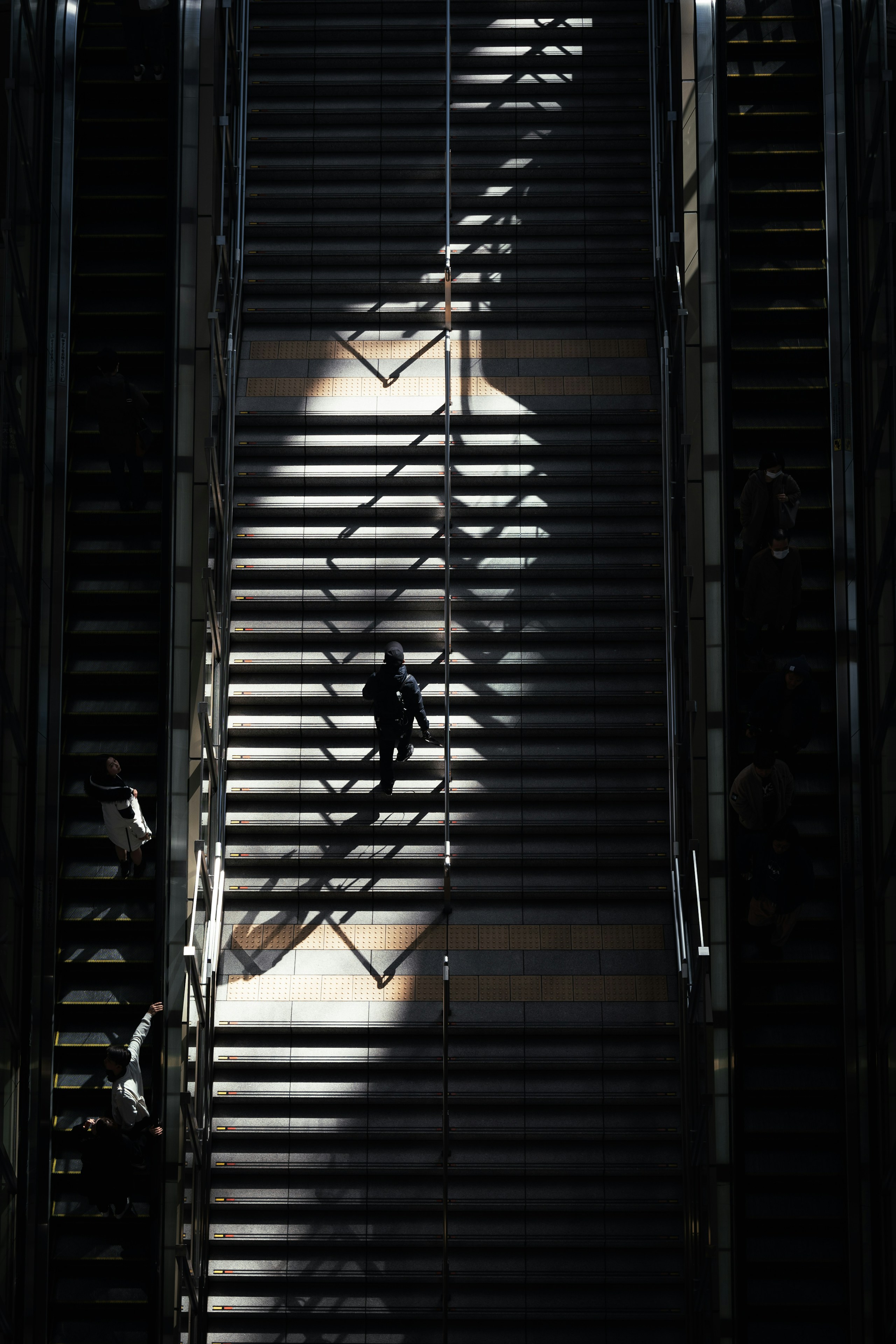 2024-05-sunlight-stories-award-image-13