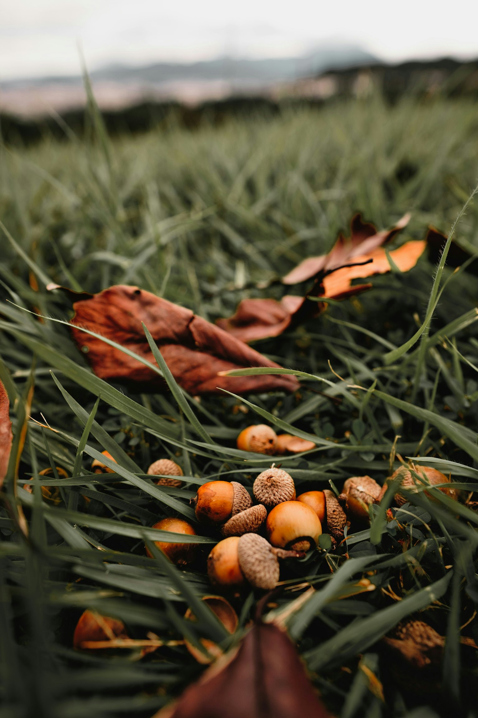 2025-11-discovery-image-5