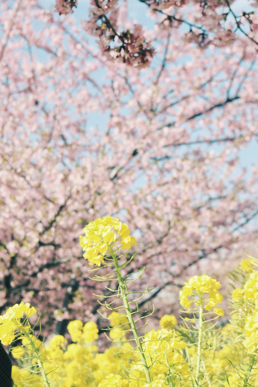 2026-04-bloom-image-6