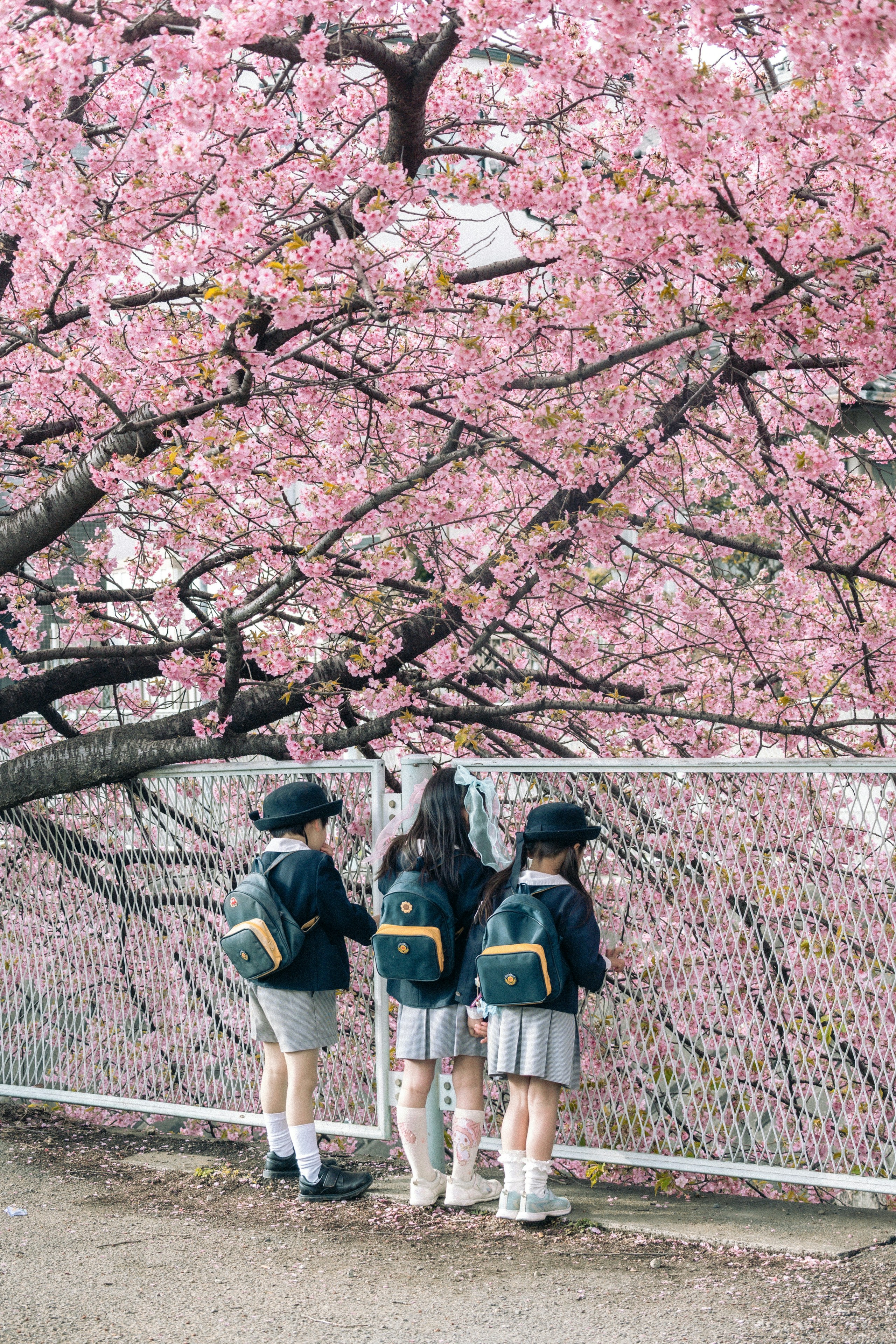 2026-05-find-new-pieces-spring-image-26